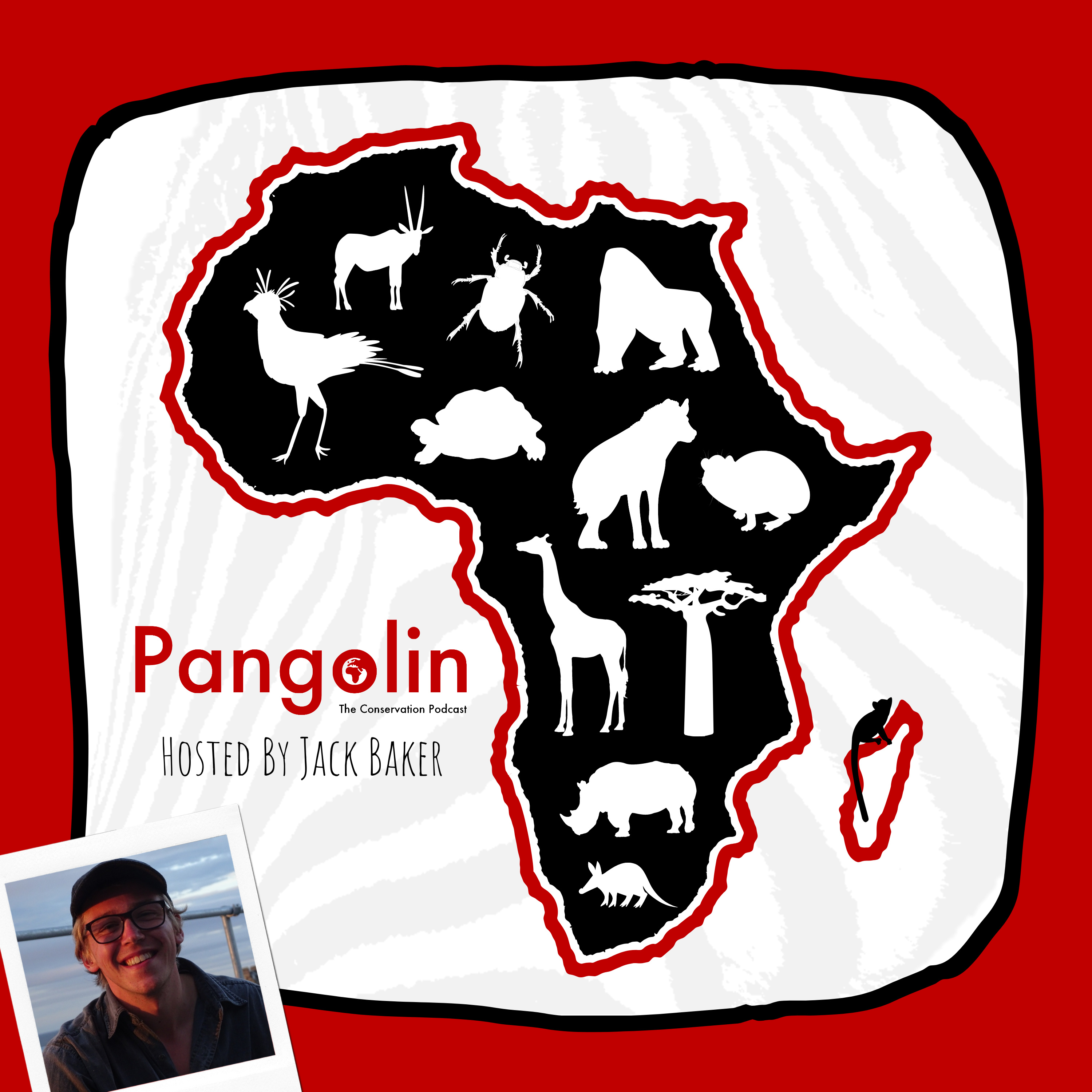 Pangolin: The Conservation Podcast