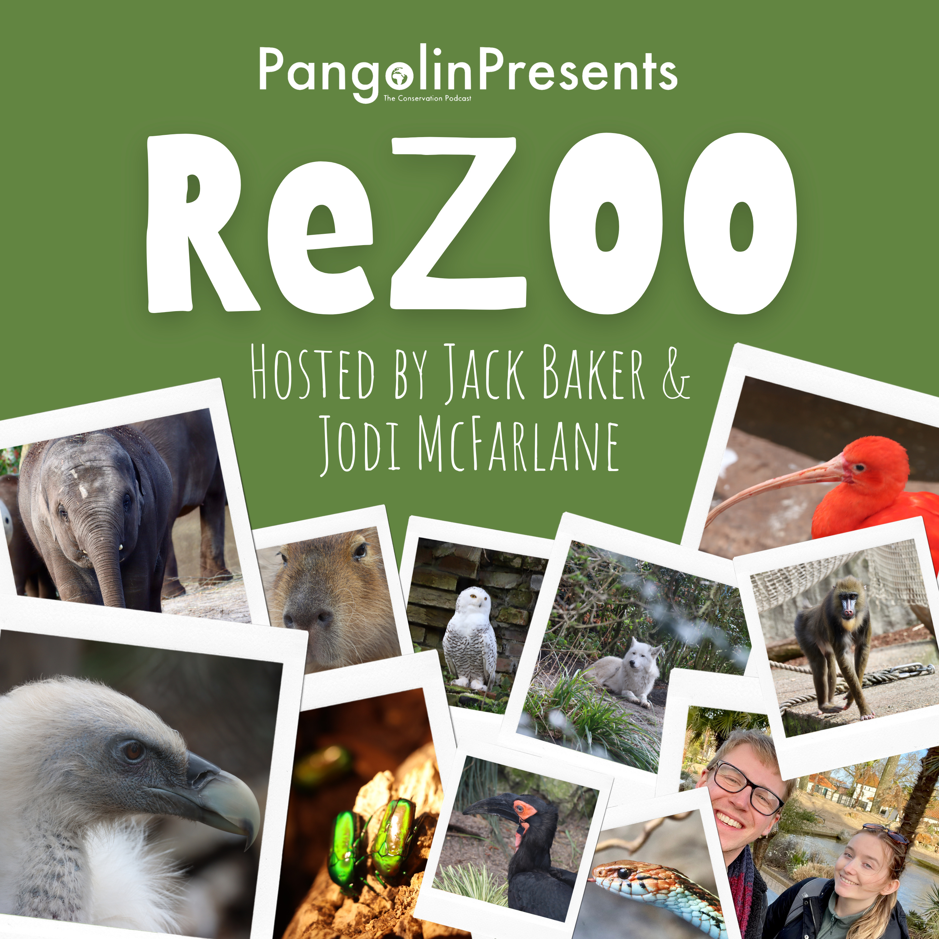 Pangolin: The Conservation Podcast