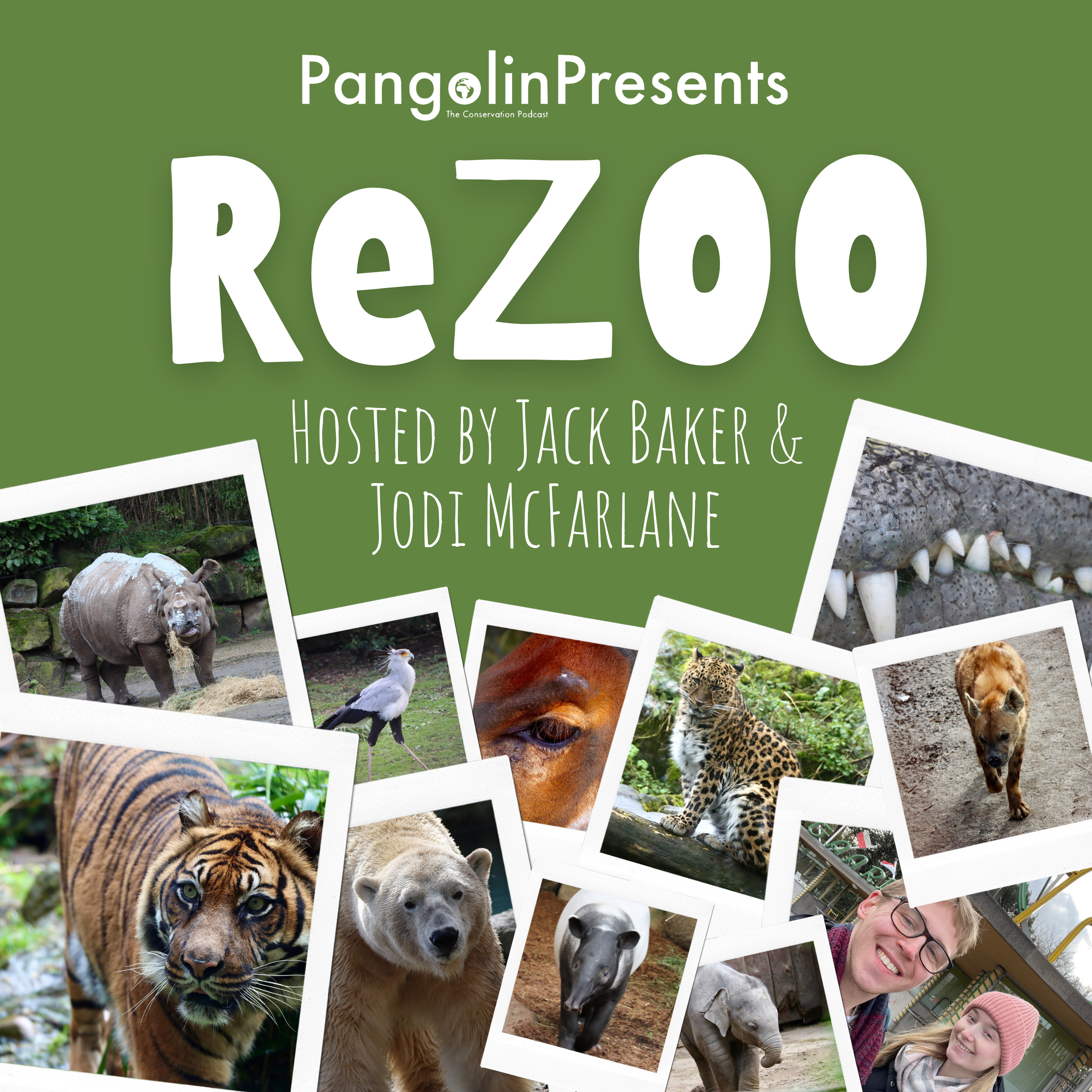 Pangolin: The Conservation Podcast