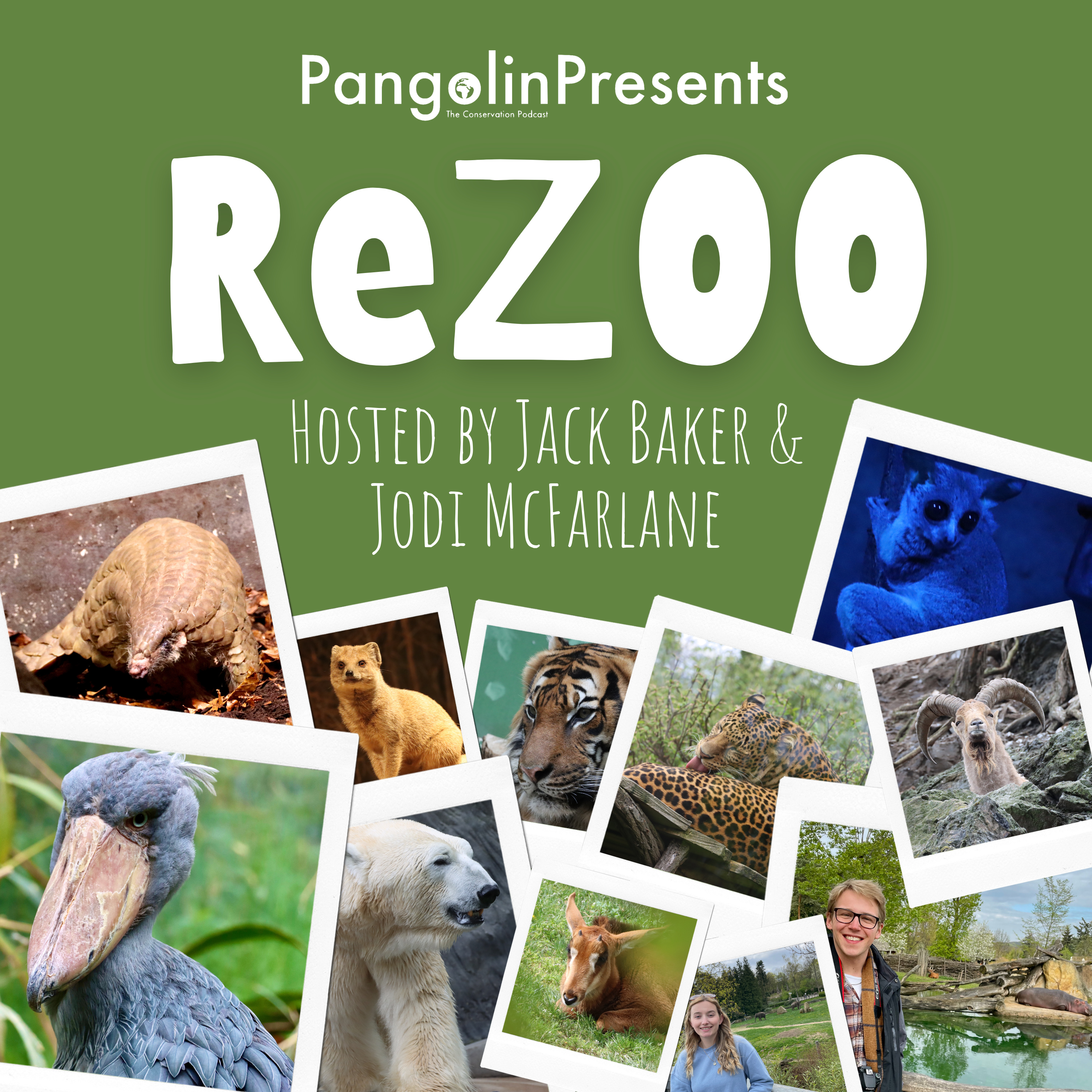 Pangolin: The Conservation Podcast