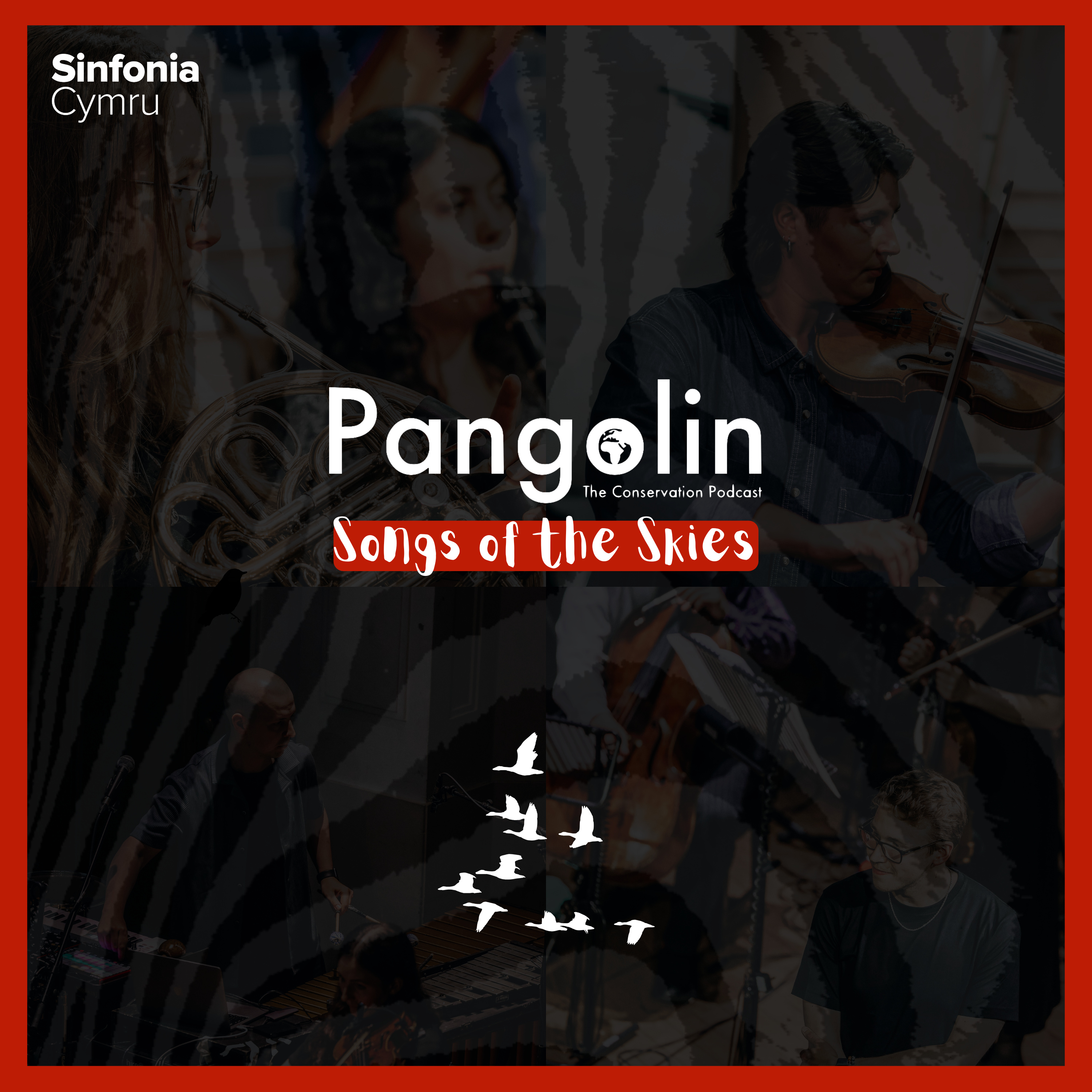 Pangolin: The Conservation Podcast