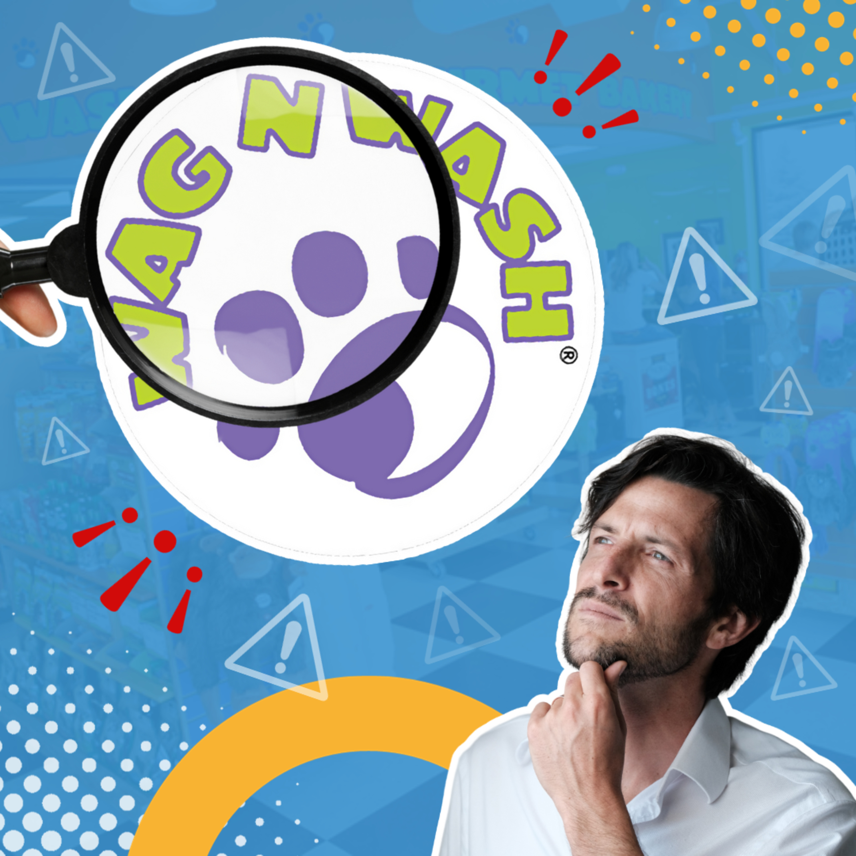 cover of episode ALERT! Uncover the DARK SIDE of Wag N Wash: Plummeting Profits and Deceptive Royalties 