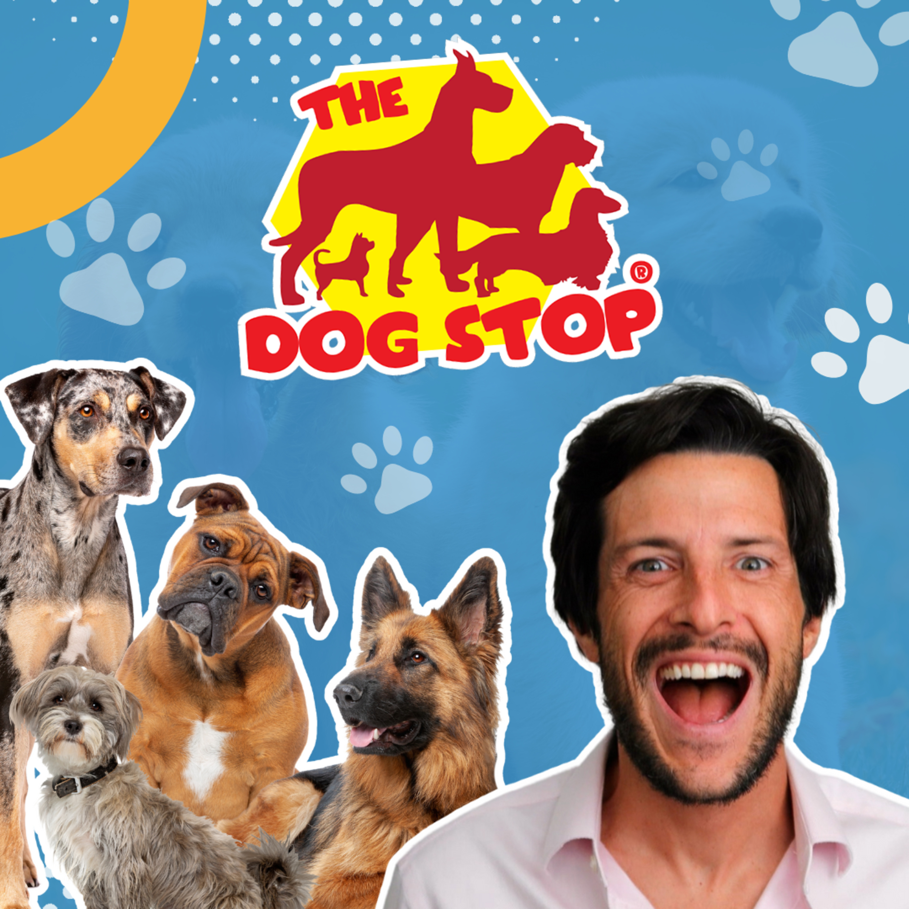 cover of episode Business Opportunity: THE DOG STOP Franchise INVESTMENT Guide