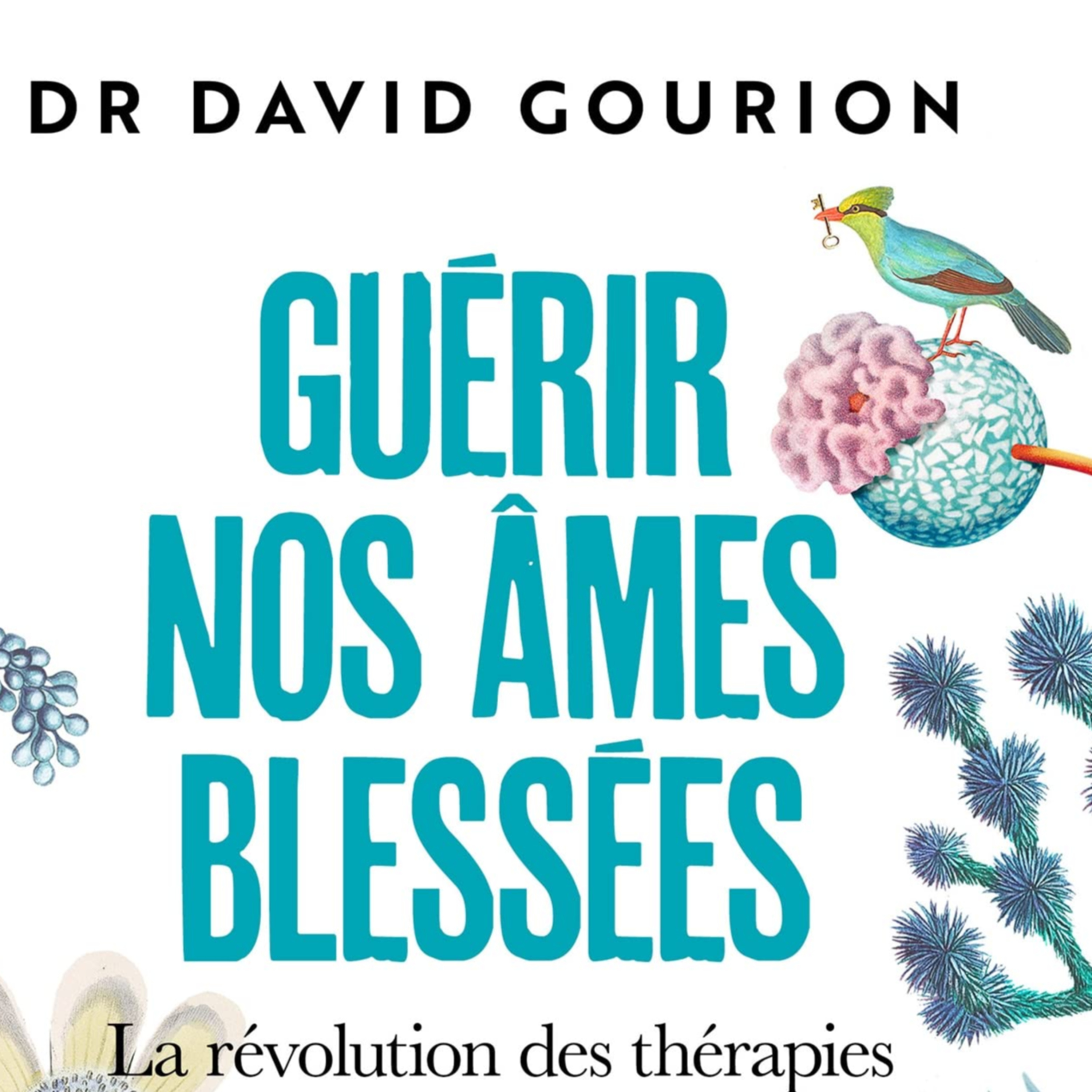 PODCAST:Plongez dans un formidable voyage intérieur avec le Dr Gourion episode artwork