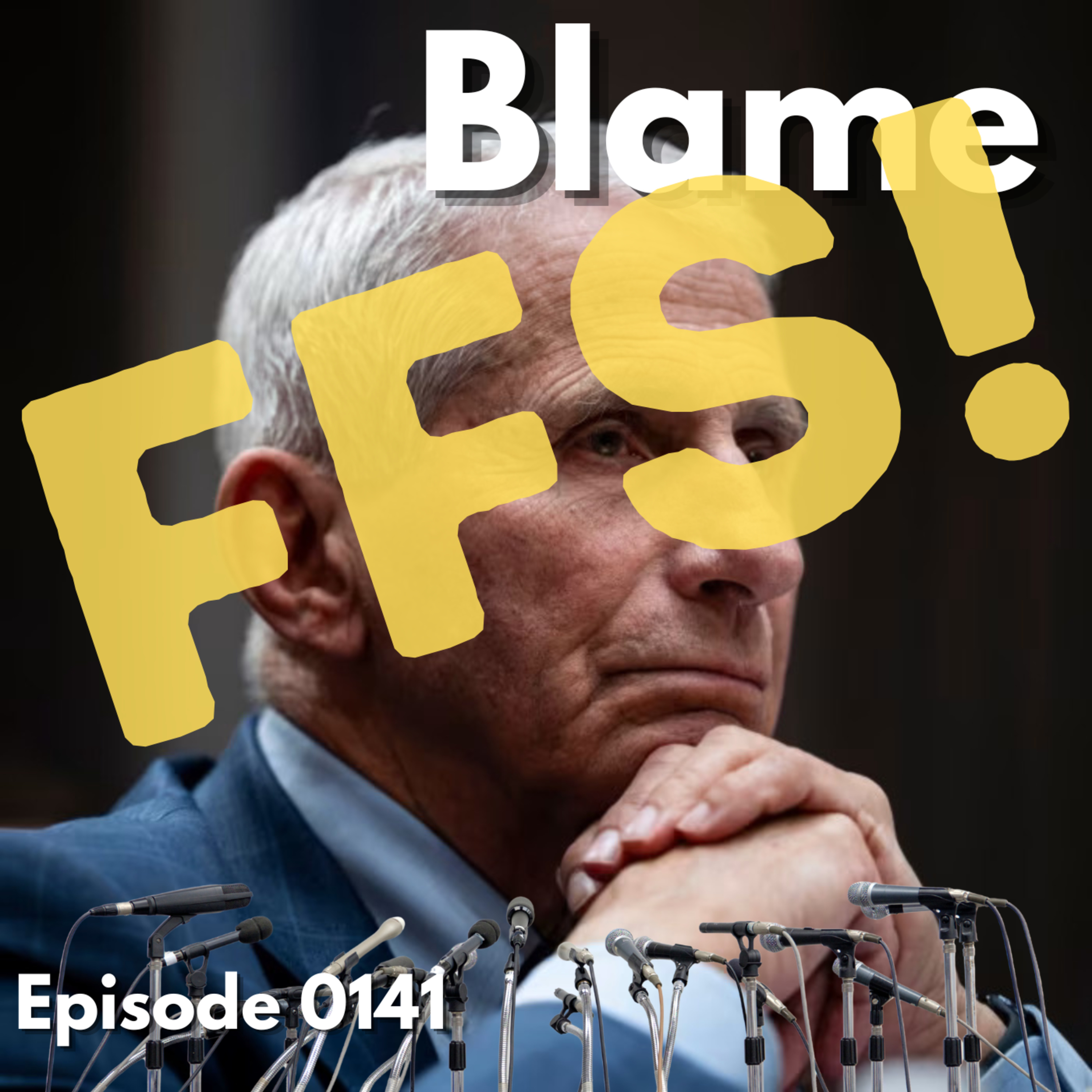 Episode 0141: Blame episode artwork