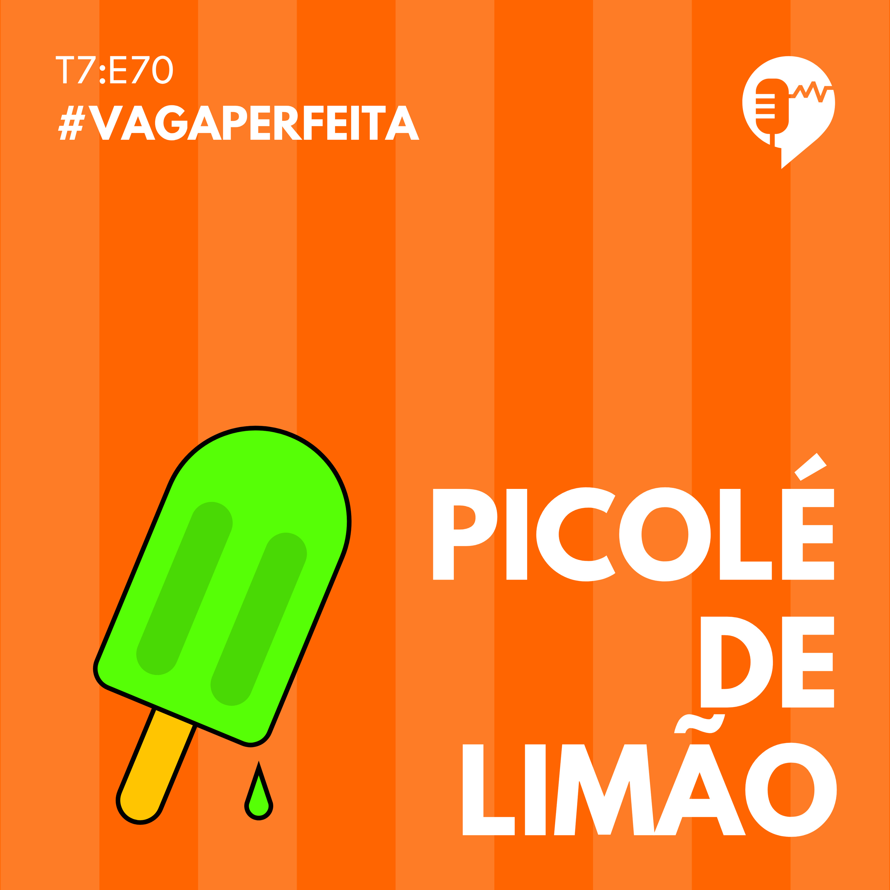 VAGA PERFEITA