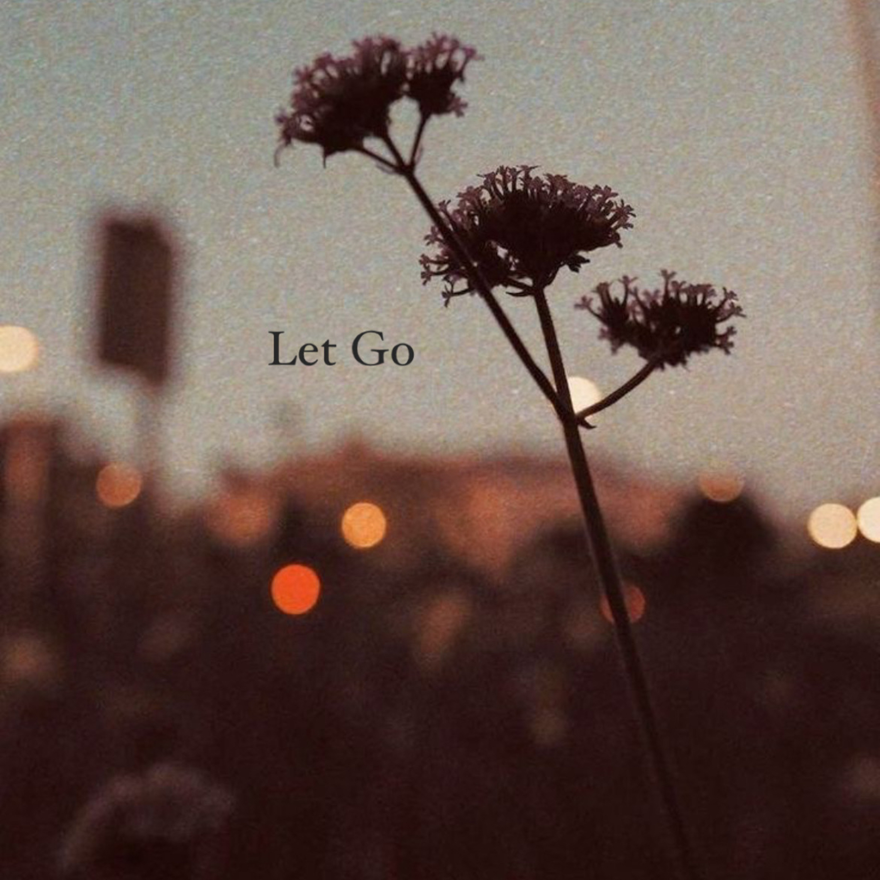 Let Go episode artwork