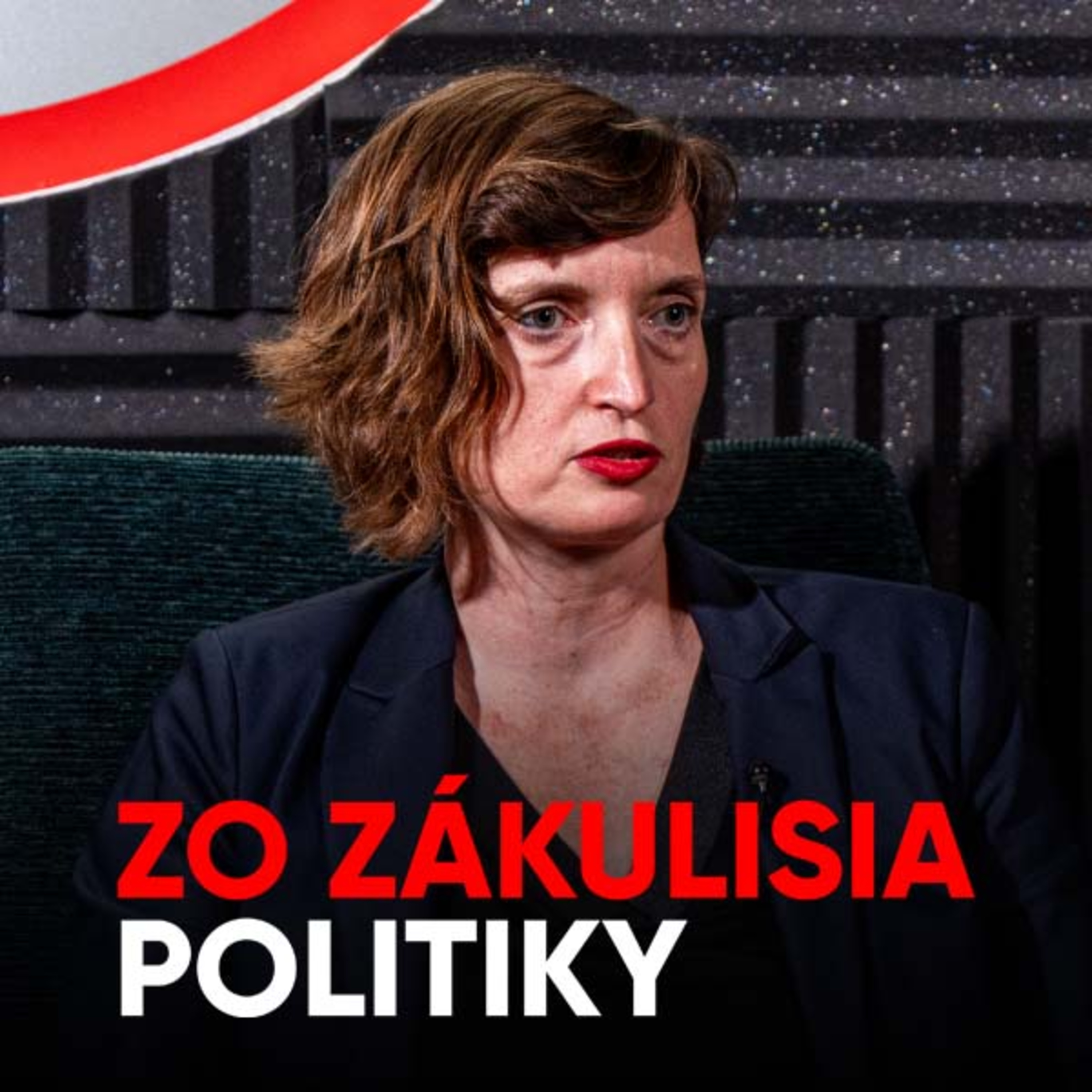 Plaváková: Kým riešime moje nálepky, každému Slovákovi chcú zobrať tisíc eur z peňaženiek [Zo zákulisia politiky]