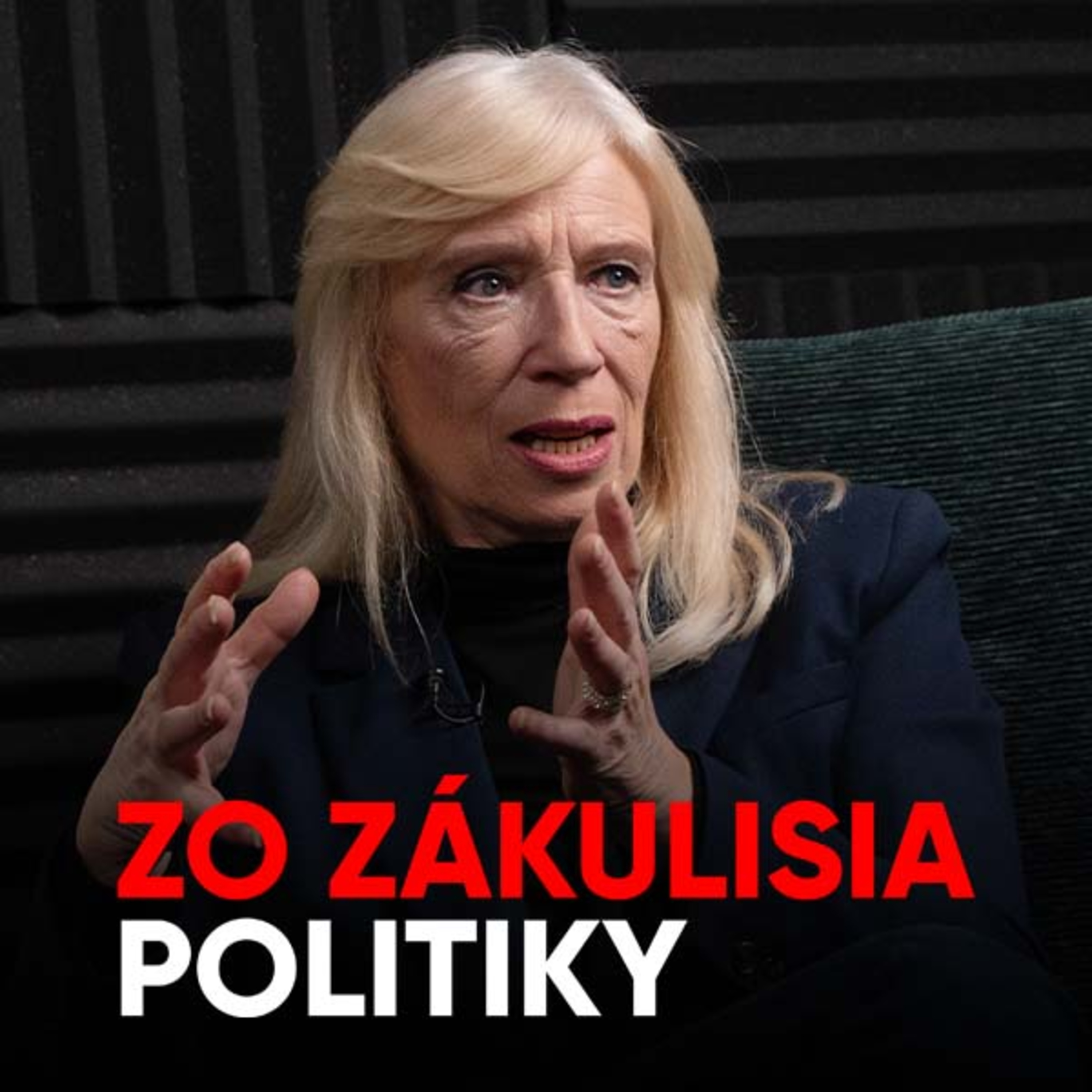 Radičová: Demokratický dom sa nám rúca pred očami [Zo zákulisia politiky]