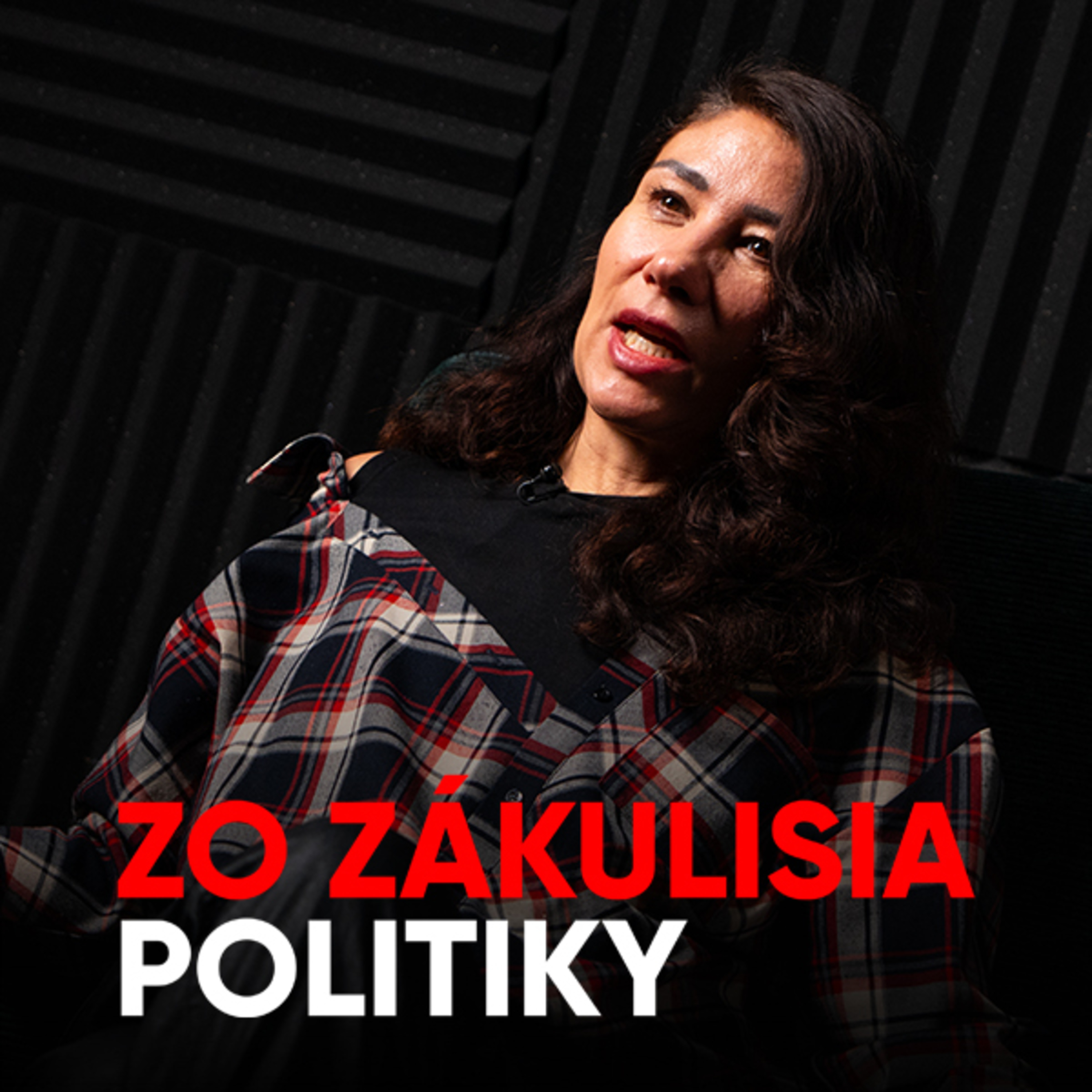 Nicholsonová: Dnes máme najhomofóbnejšiu vládu v histórii Slovenska [Zo zákulisia politiky]