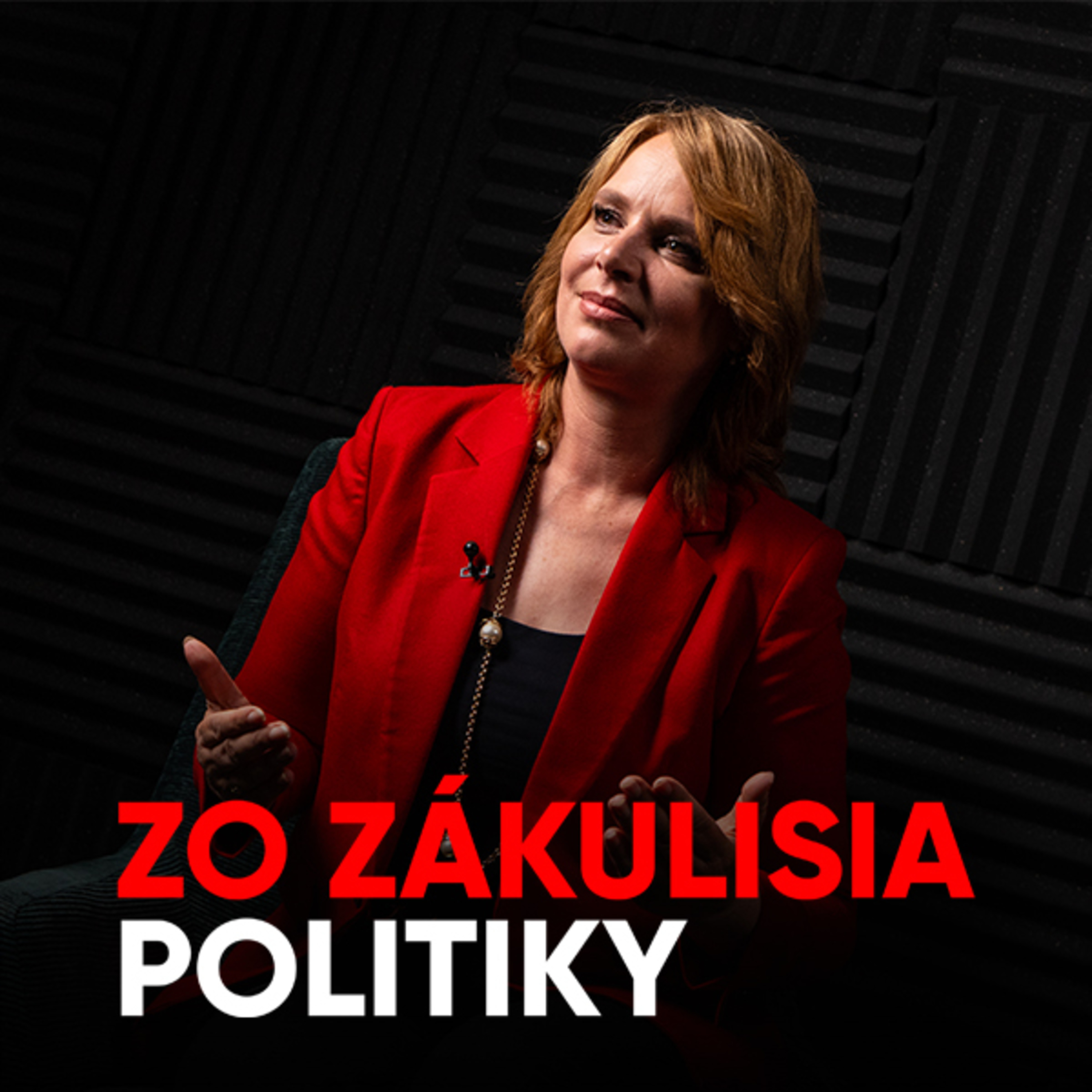Remišová: Kaliňák má históriu klamstiev - pri Vietnamcovi aj Hedvige Malinovej [Zo zákulisia politiky]