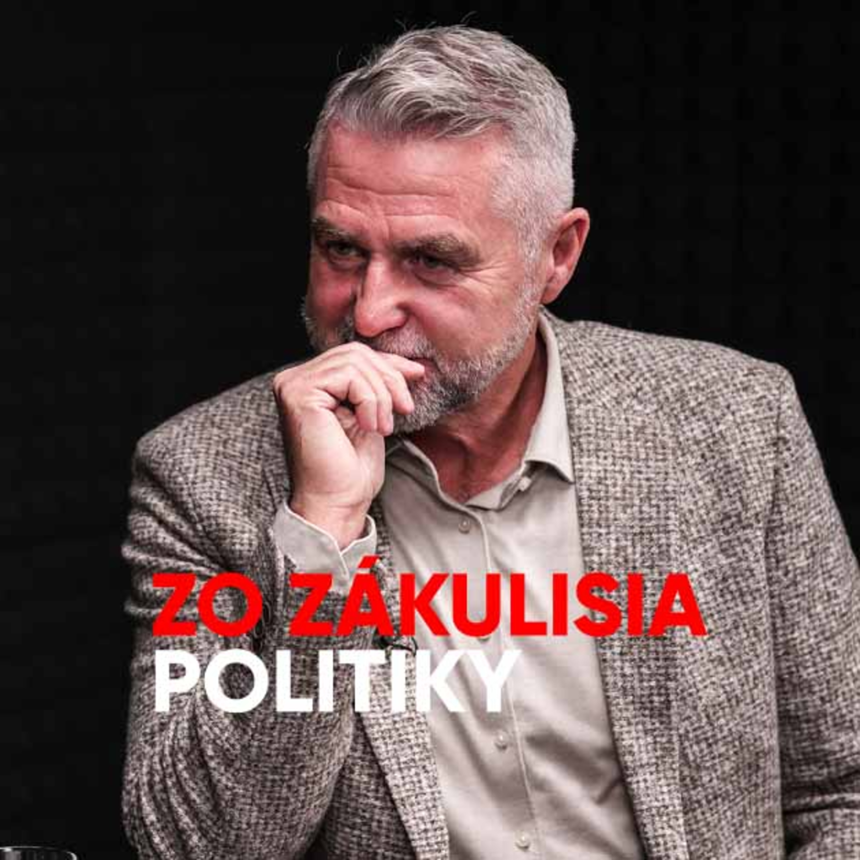 Gašpar: Opozícia uteká s každým zákonom do Bruselu, nech nás preveria a zavrú koho treba