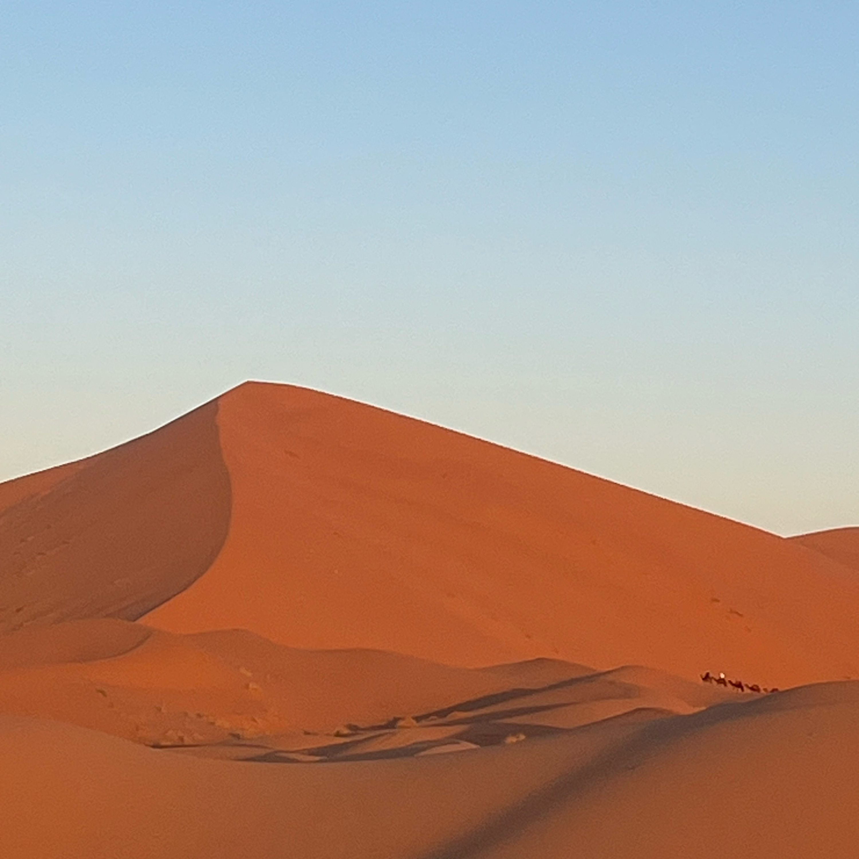 Sahara Water  episode artwork
