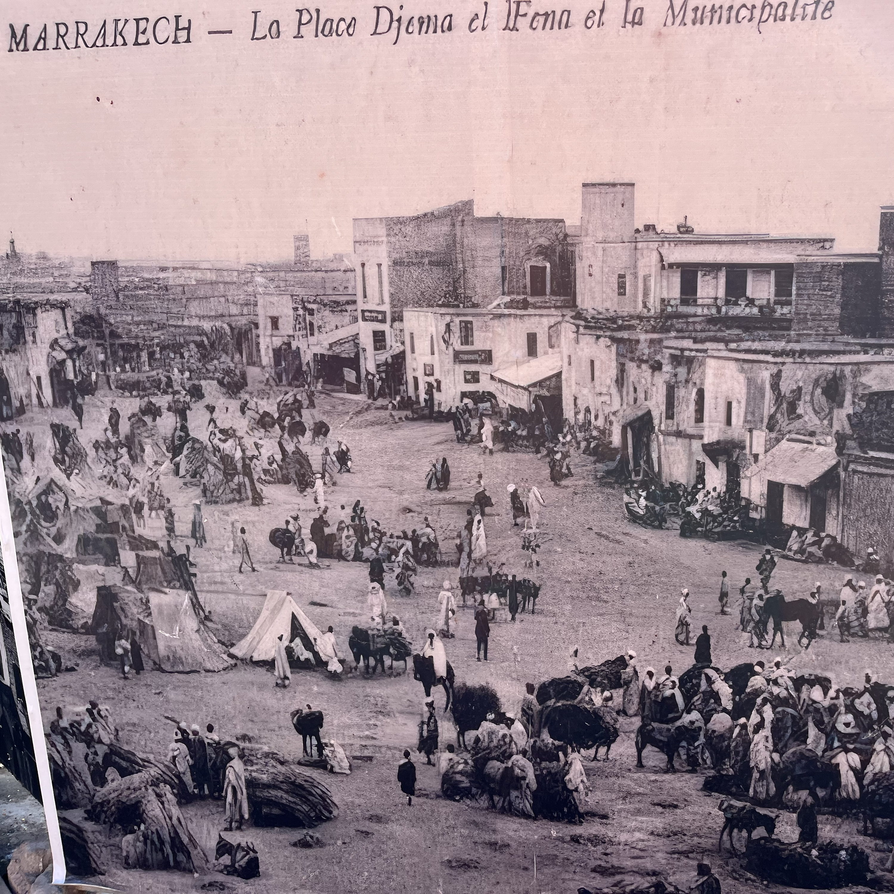 banging, banging, banging, neon orange hype Marrakesh