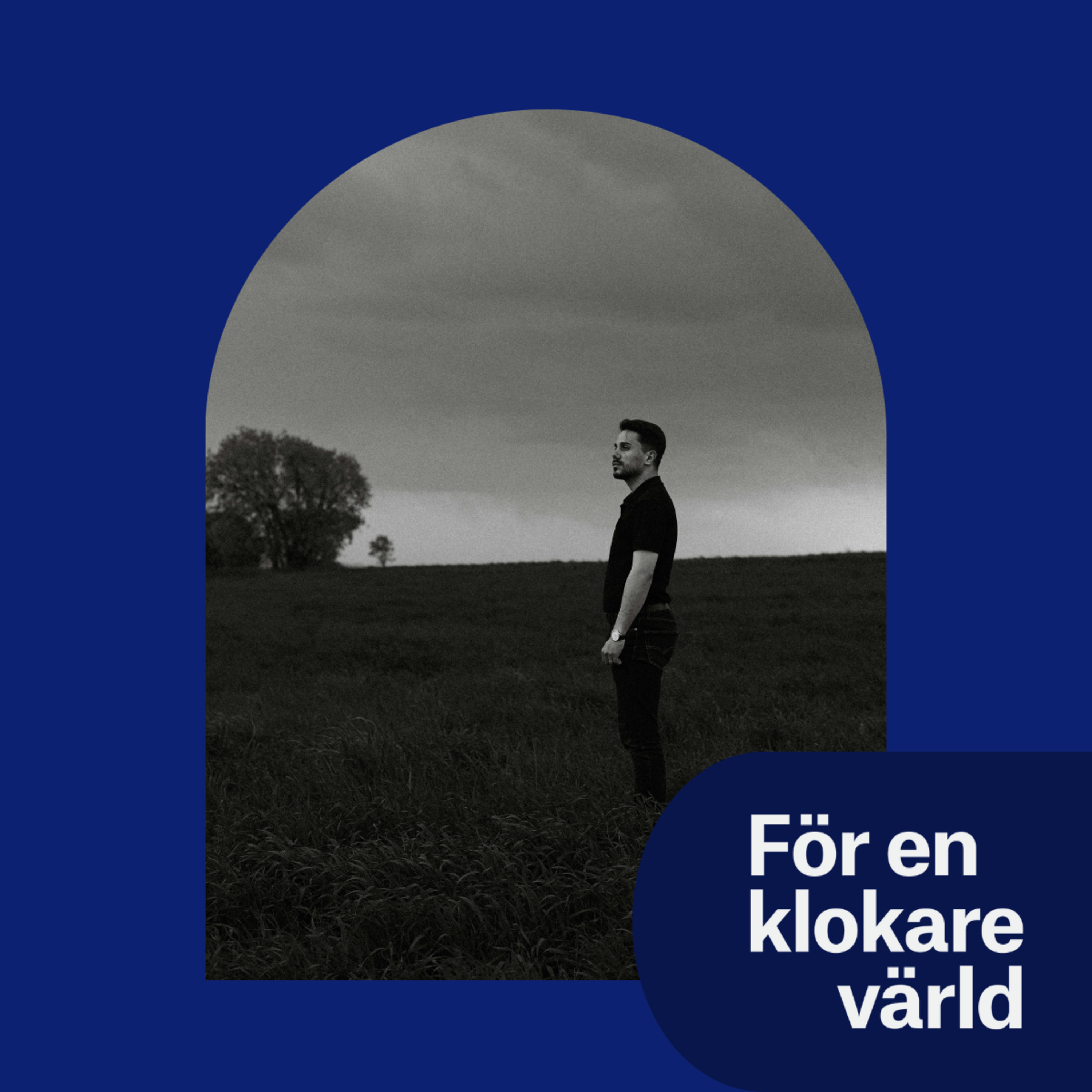 Social infertilitet – män, klass, barnlöshet -Ett panelsamtal. episode artwork