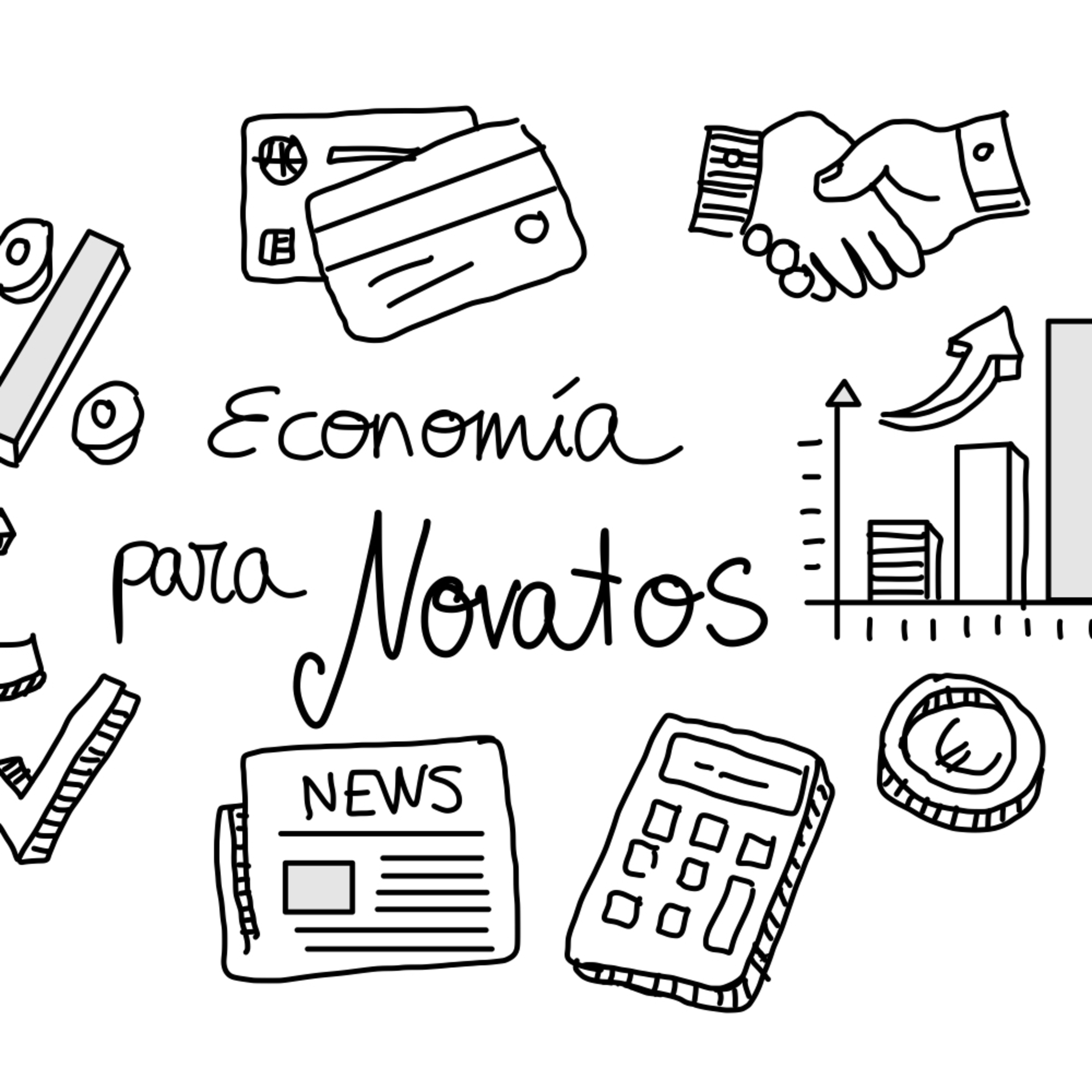 ECONOMÍA PARA NOVATOS