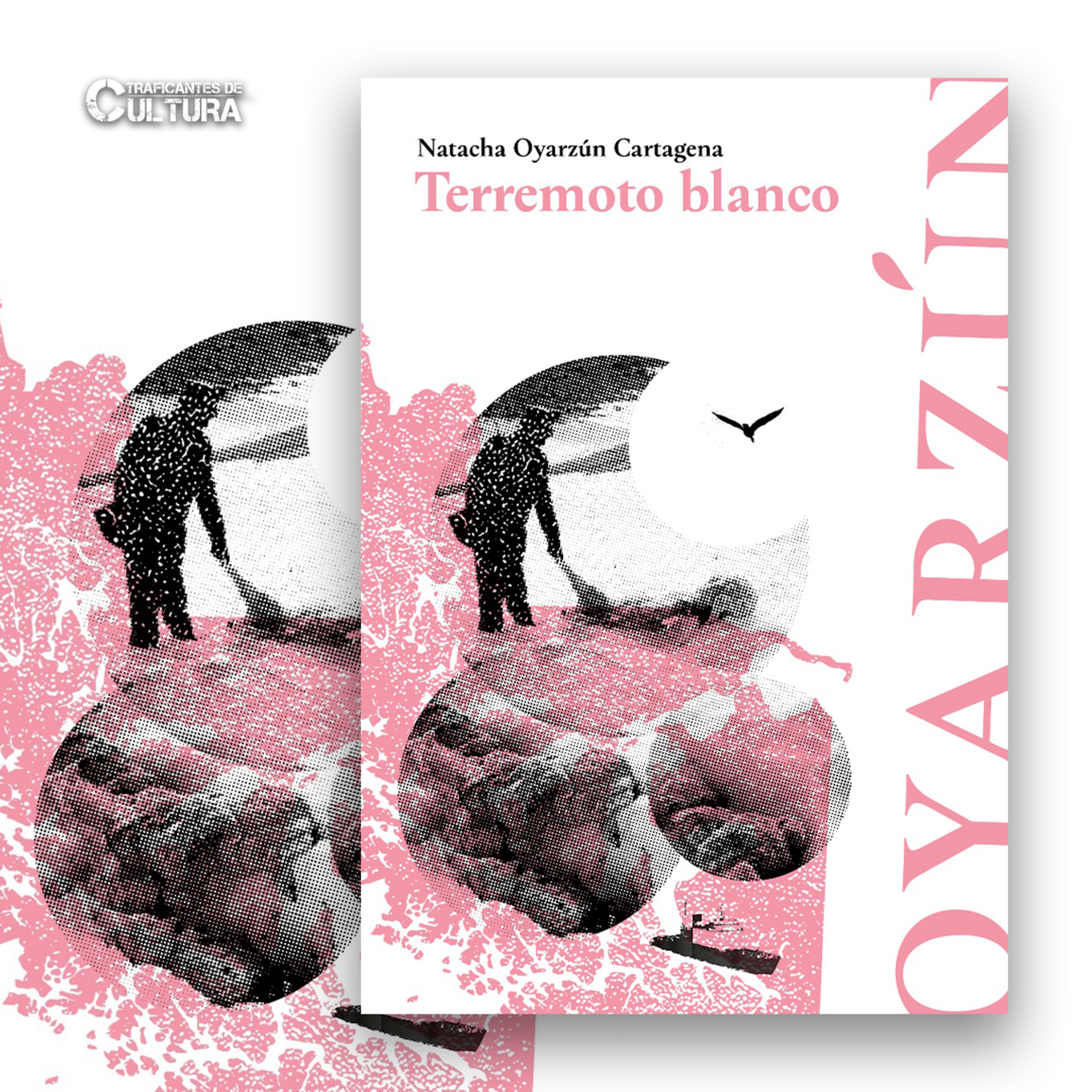 Natacha Oyarzún Cartagena, autora de "Terremoto Blanco" episode artwork