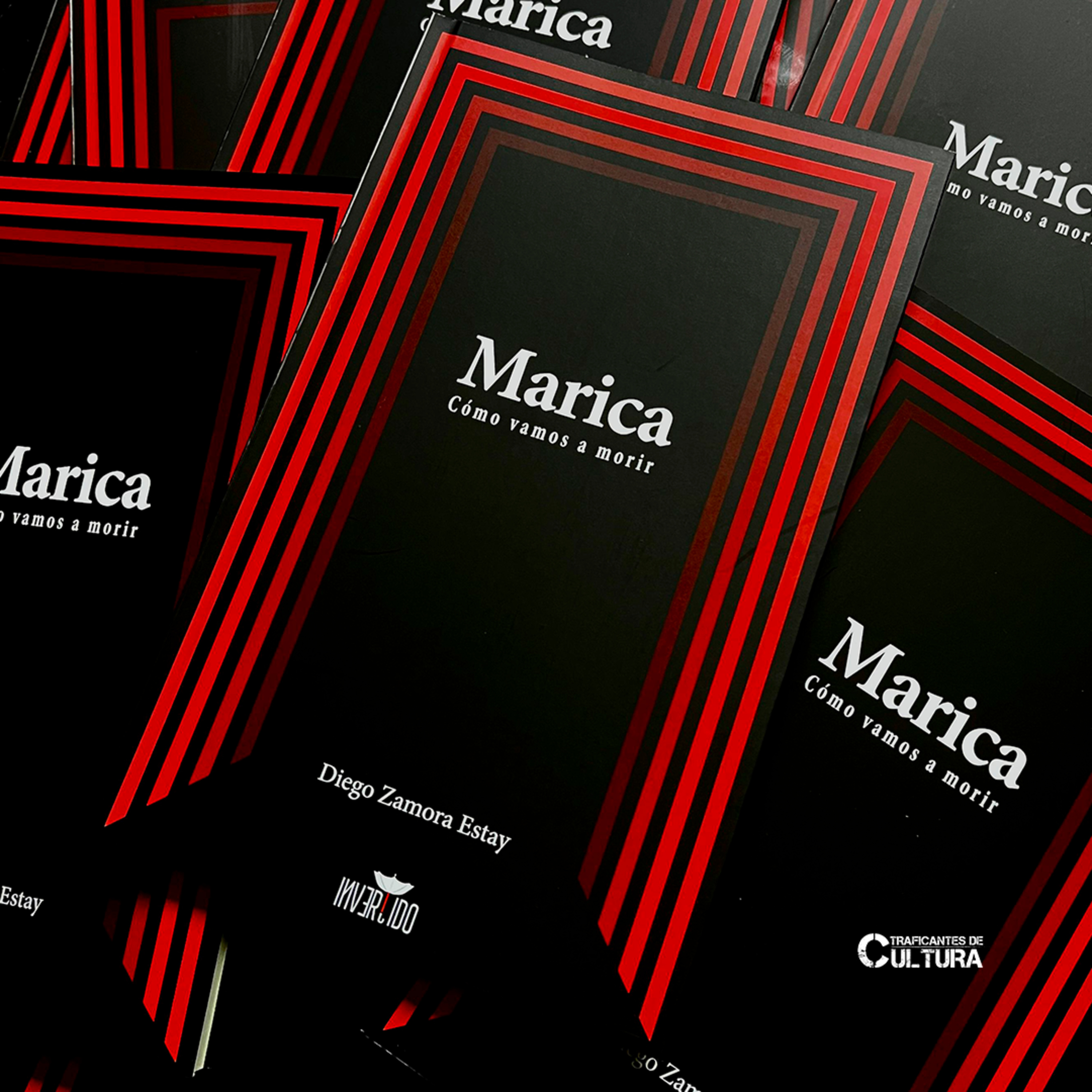 Diego Zamora Estay, autor de "Marica. cómo vamos a morir" episode artwork