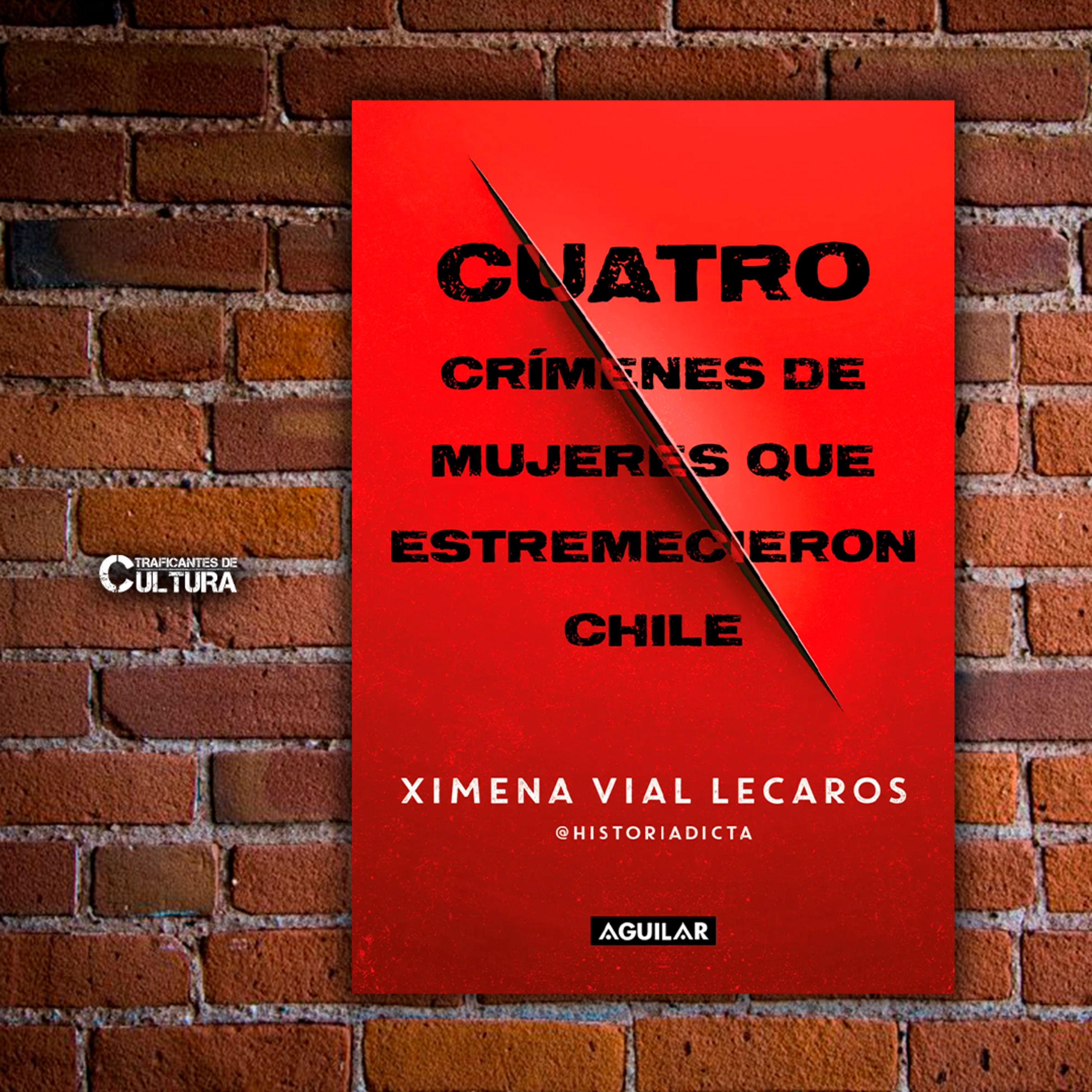 Ximena Vial, autora de "Cuatro crímenes de mujeres que estremecieron Chile" episode artwork