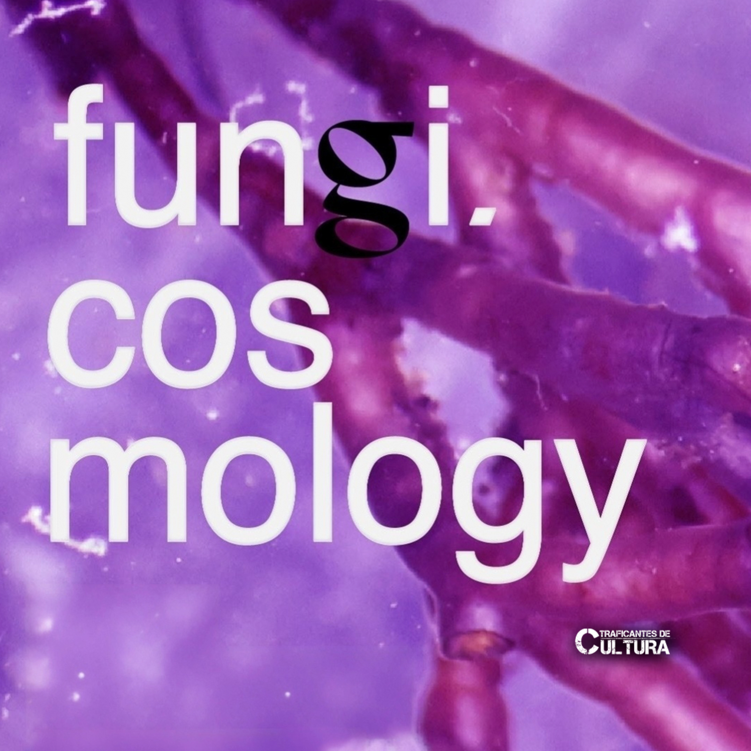 "Fungi Cosmology": investigación y creación en torno al reino de los hongos episode artwork