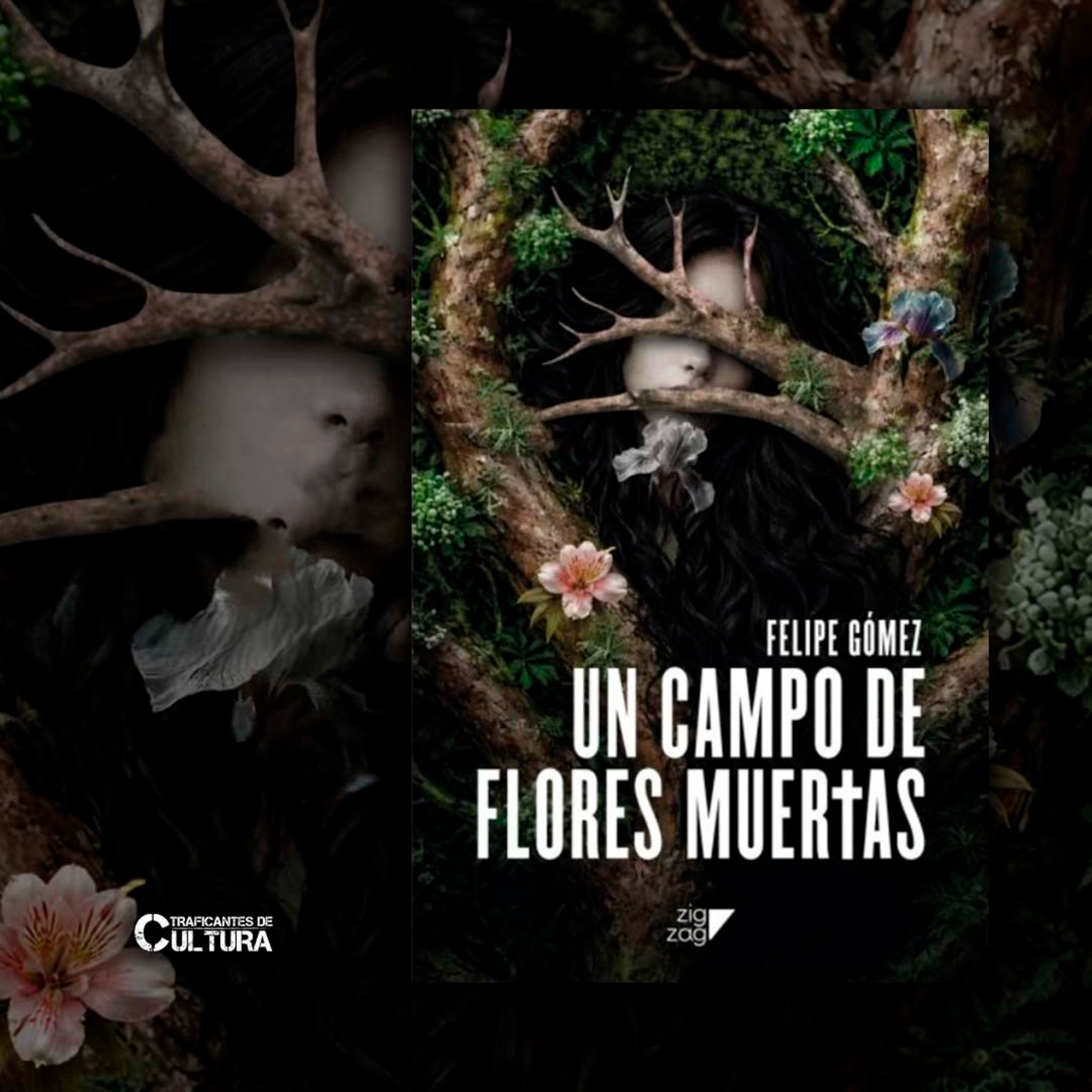 Felipe Gómez, autor de "Un Campo de Flores Muertas" episode artwork