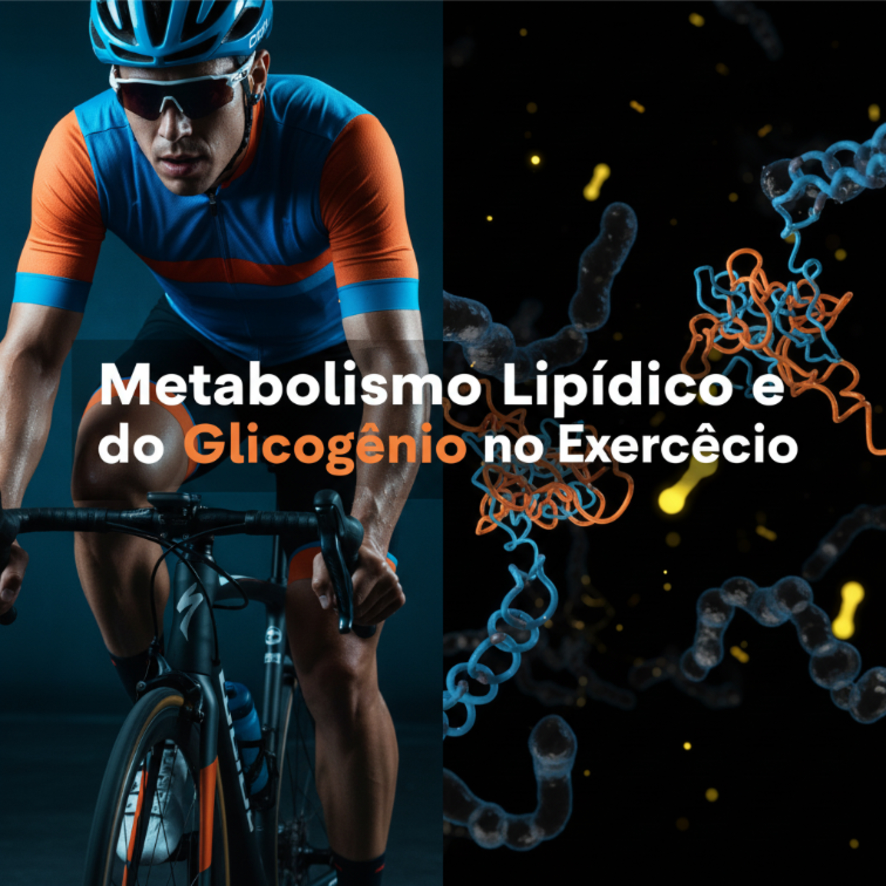 🧬 Metabolismo Lipídico e Dinâmica do Glicogênio no Exercício episode artwork