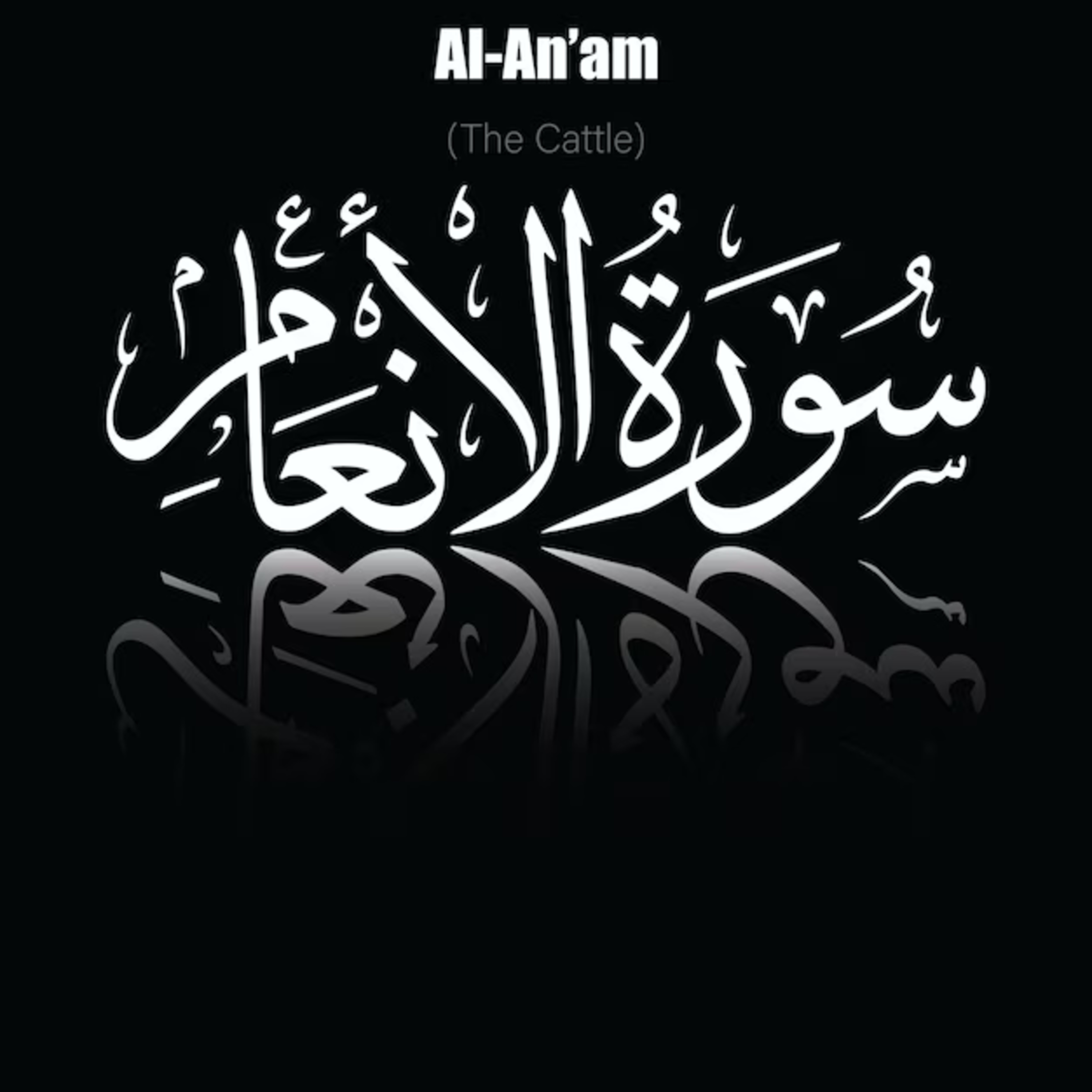 Surah 6 – Chapter 6 Al Anam complete HD Quran with Urdu Hindi translation episode artwork