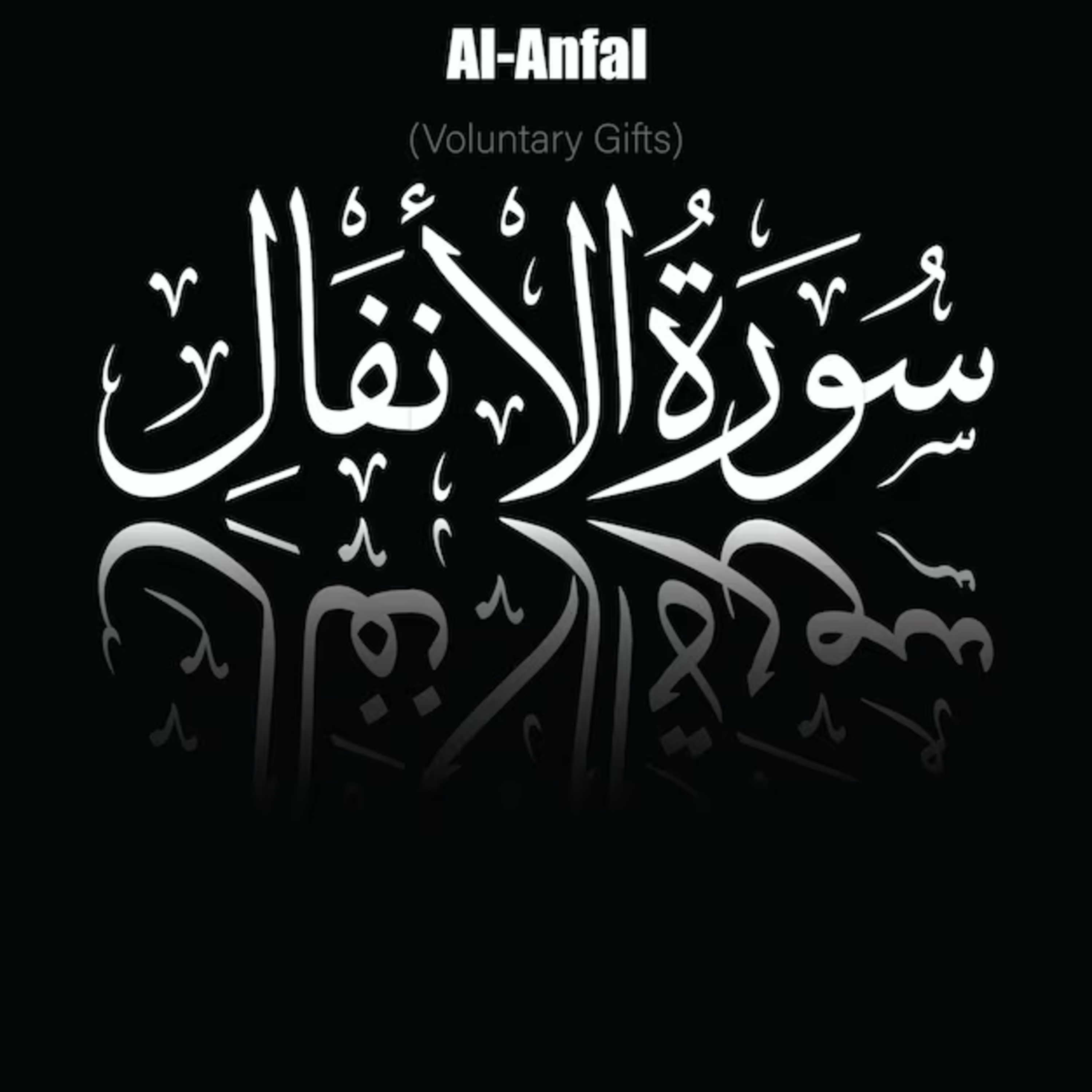 Surah 8 – Chapter 8 Al-Anfal HD complete Quran with Urdu Hindi translation episode artwork