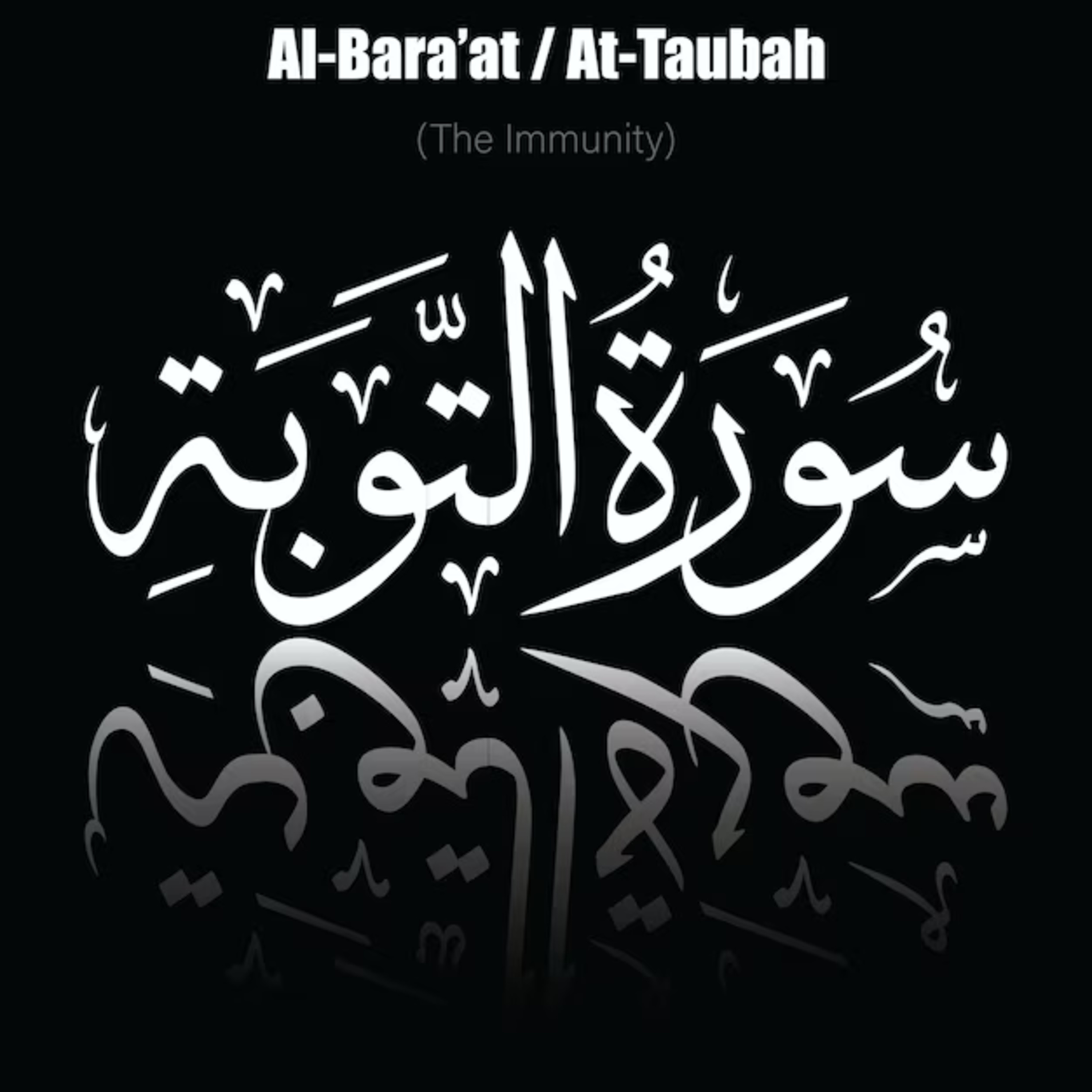 Surah 9 – Chapter 9 Al Baraat / At Taubah complete Quran with Urdu Hindi translation episode artwork