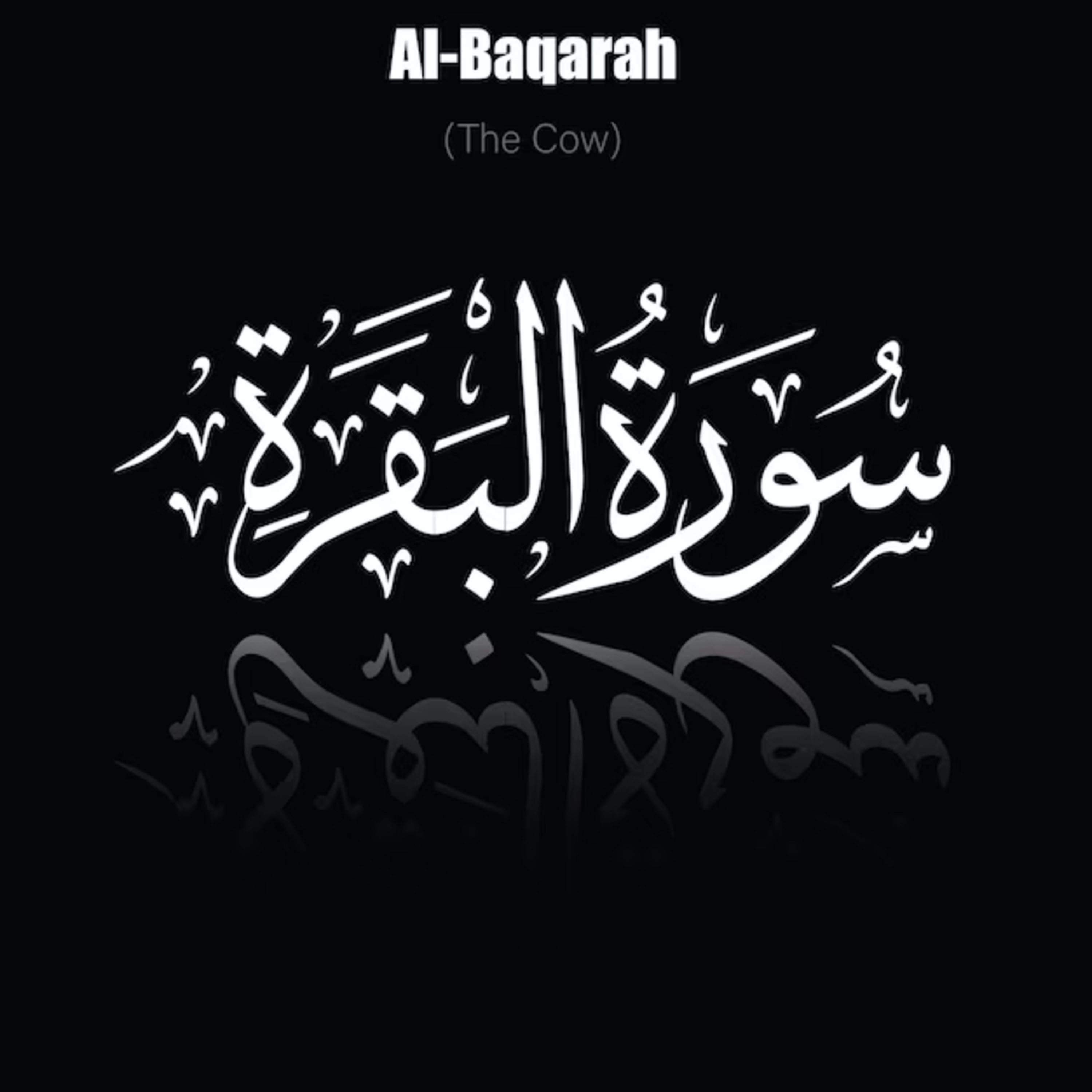 Surah 2 – Chapter 2 Al-Baqarah complete Quran with Urdu/Hindi translation. Let's Subscribe us to access the premium content of Holy Quran Recitation with Urdu/Hindi Translation.  episode artwork
