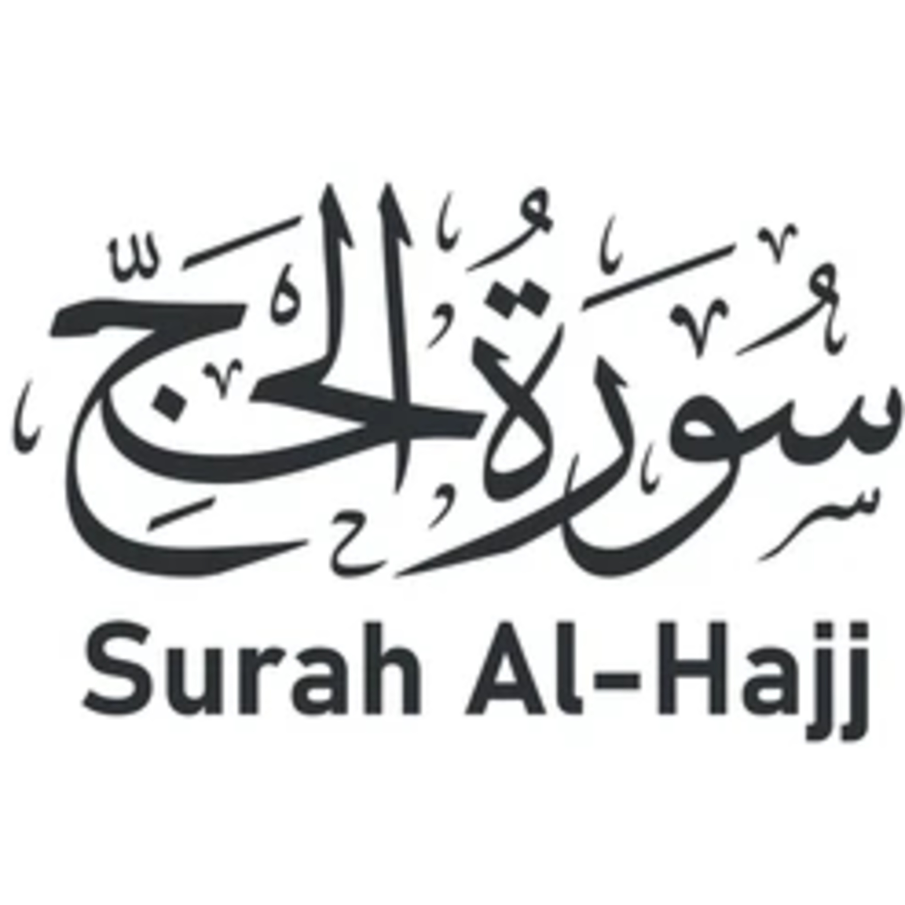Surah 22 – Chapter 22 Al Hajj complete Quran with Urdu Hindi translation episode artwork