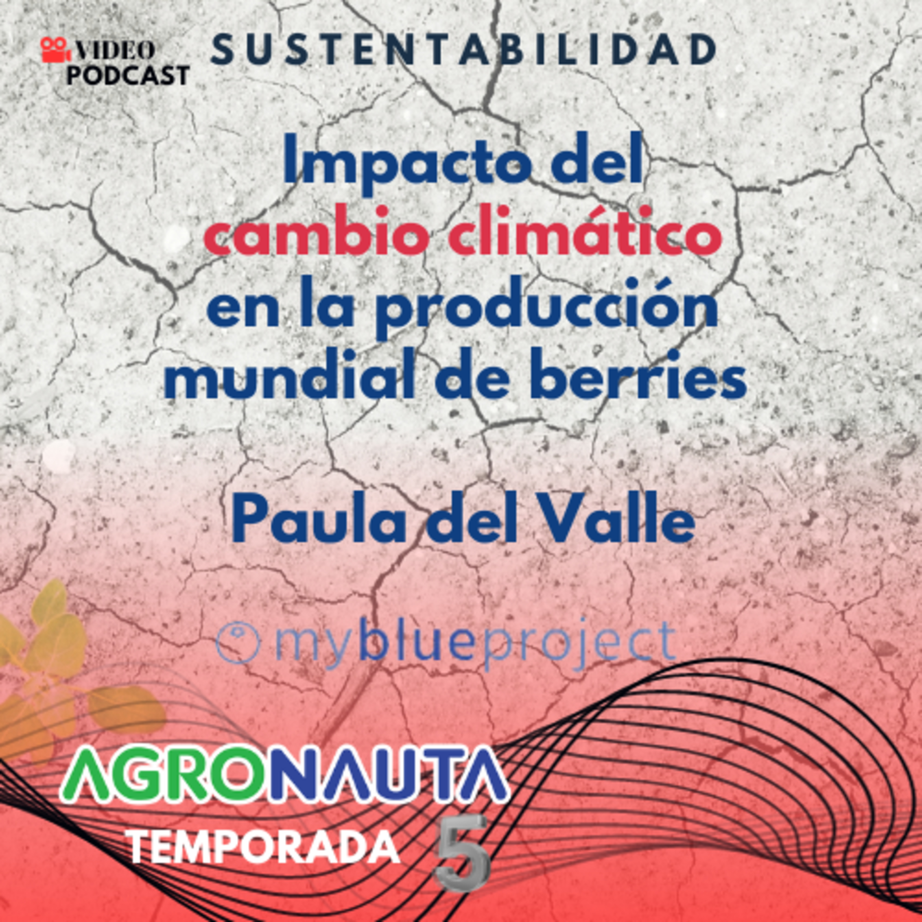 E33T5: Impacto del cambio climático en la producción mundial de berries -Paula del Valle episode artwork