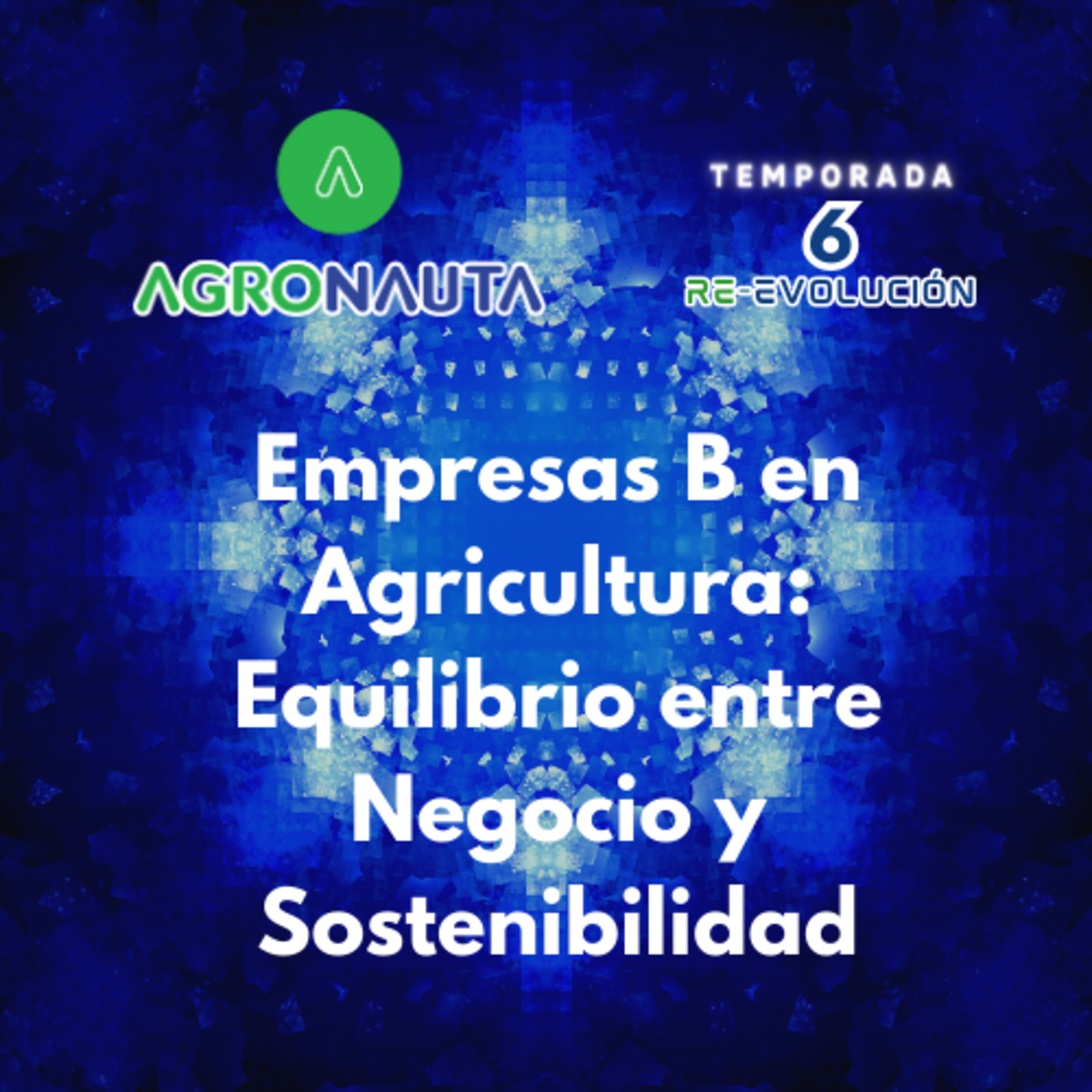 E02T6: Certificación como Empresa B en Agricultura: Equilibrio entre Negocio y Sostenibilidad episode artwork
