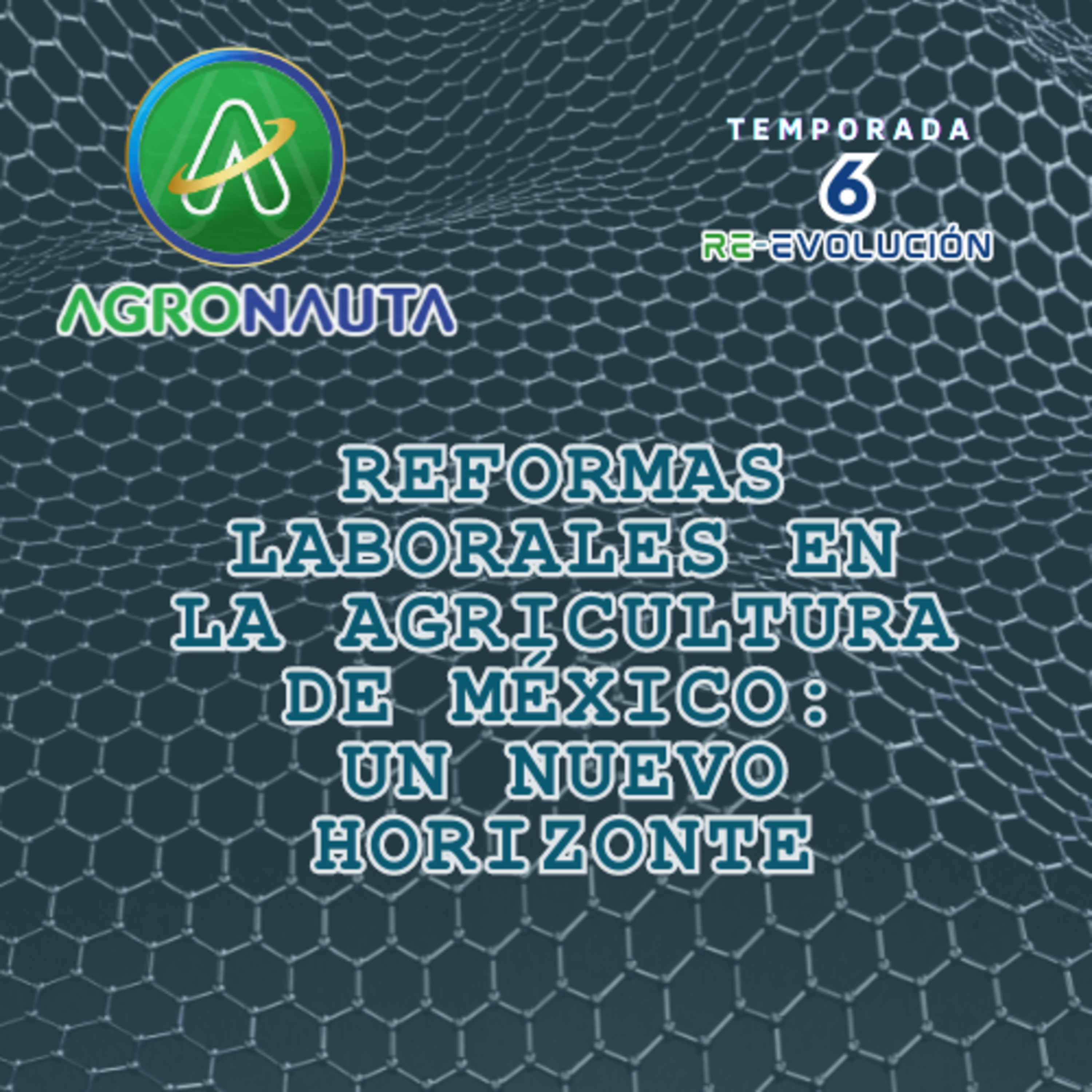 E14T6 Reformas Laborales en la Agricultura de México: Un Nuevo Horizonte episode artwork