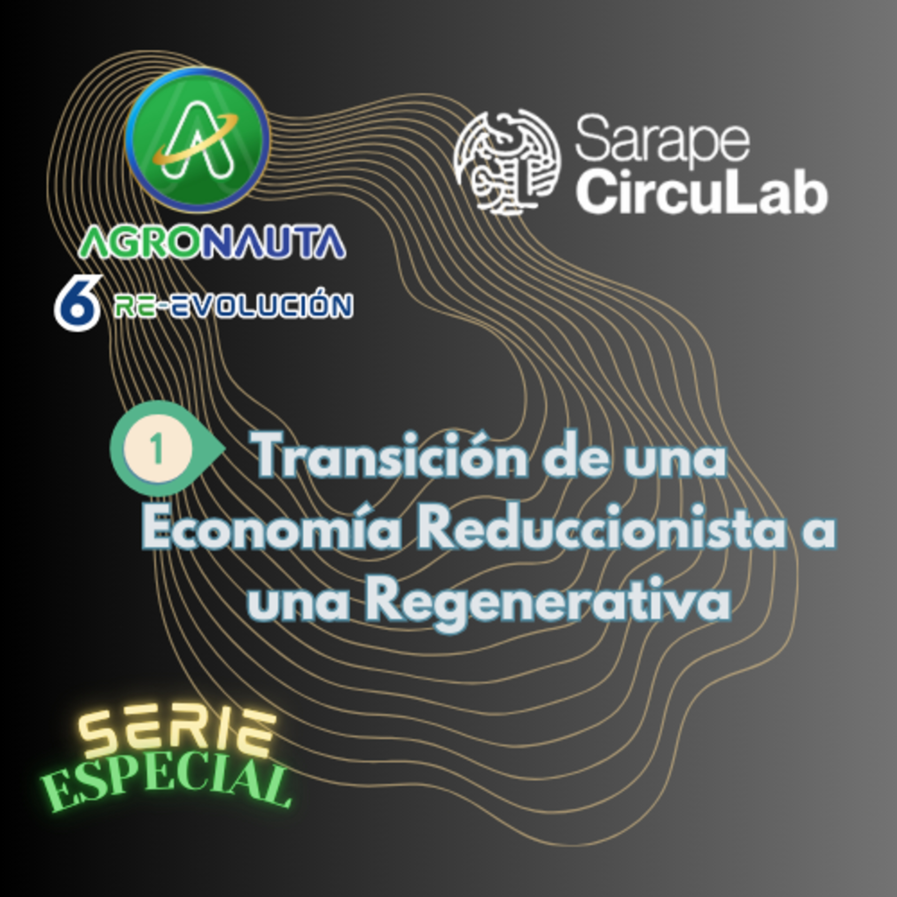 E30T6 1. Transición de una Economía Reduccionista a una Regenerativa episode artwork