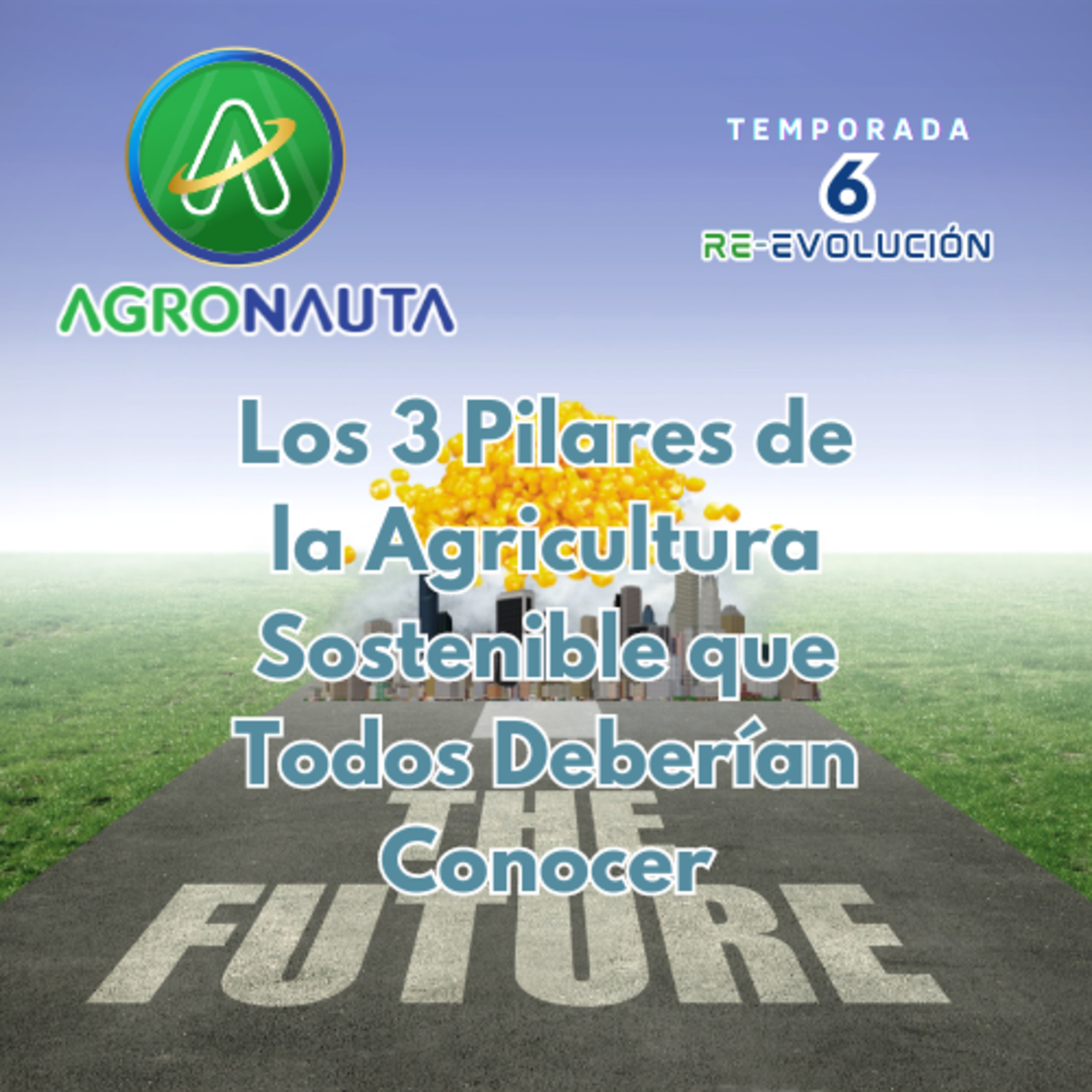 E35T6: Los 3 Pilares de la Agricultura Sostenible que Todos Deberían Conocer - Ricardo Morales de Agroder episode artwork