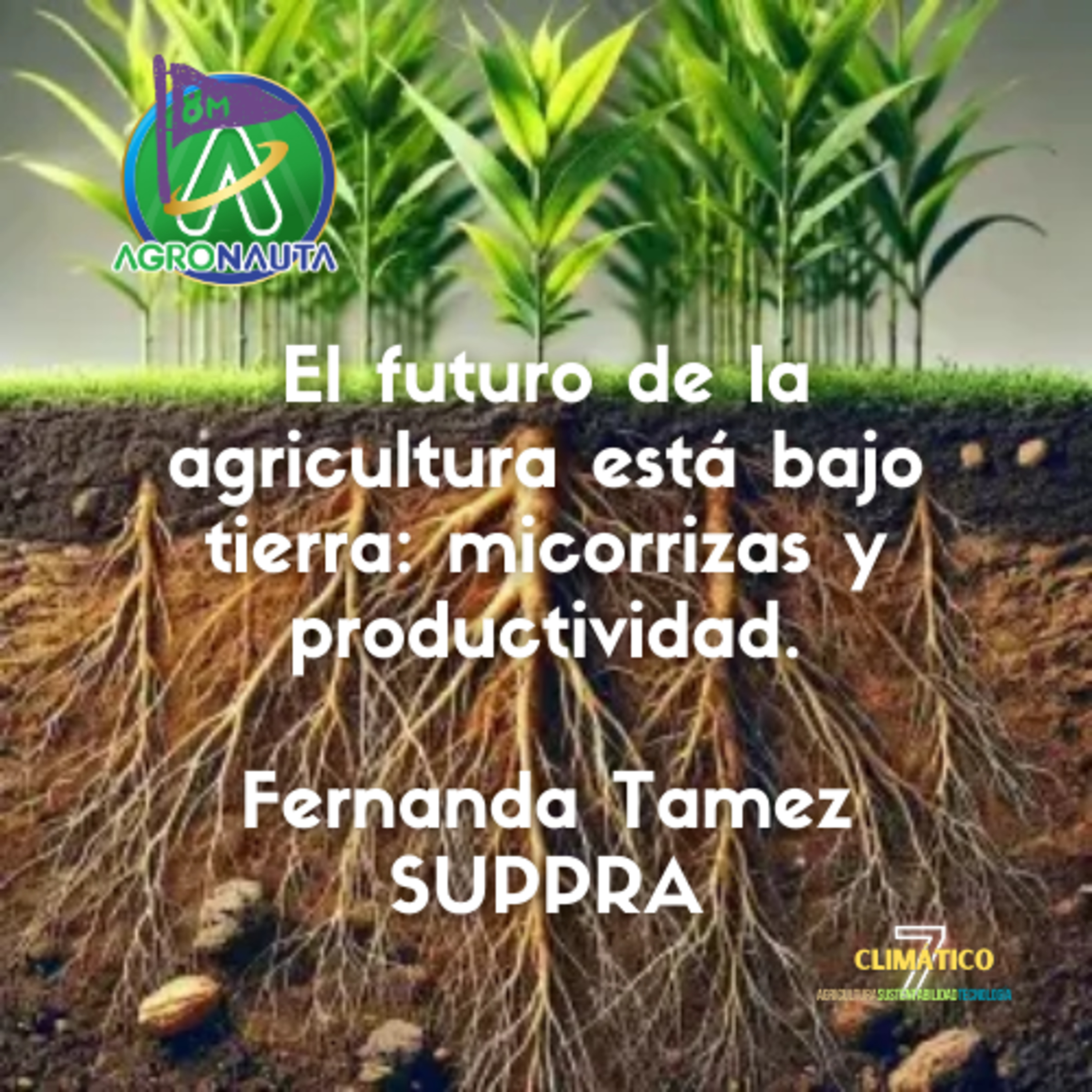 El futuro de la agricultura está bajo tierra: micorrizas y productividad. Fernanda Tamez SUPPRA episode artwork