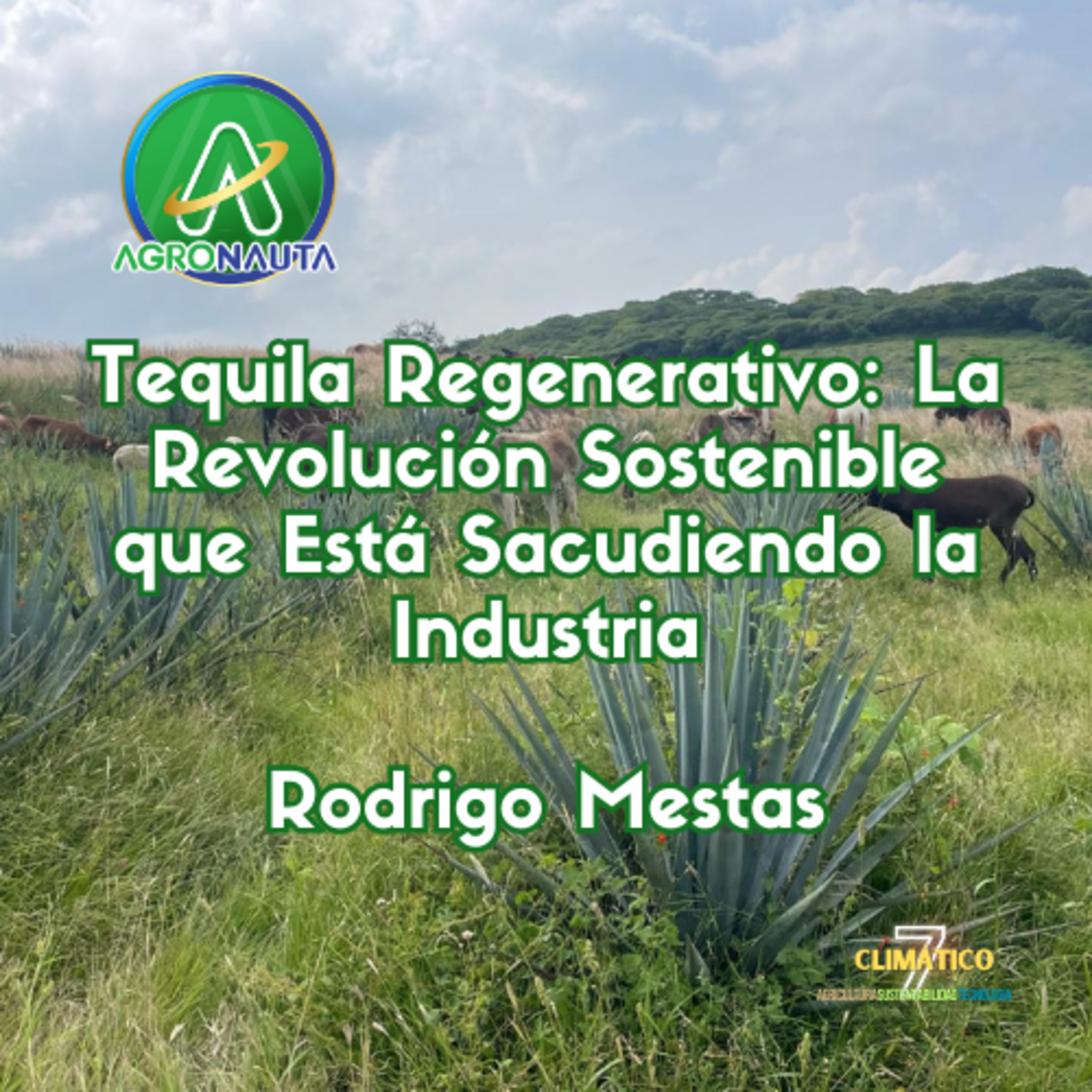 Tequila Regenerativo: La Revolución Sostenible que Está Sacudiendo la Industria episode artwork