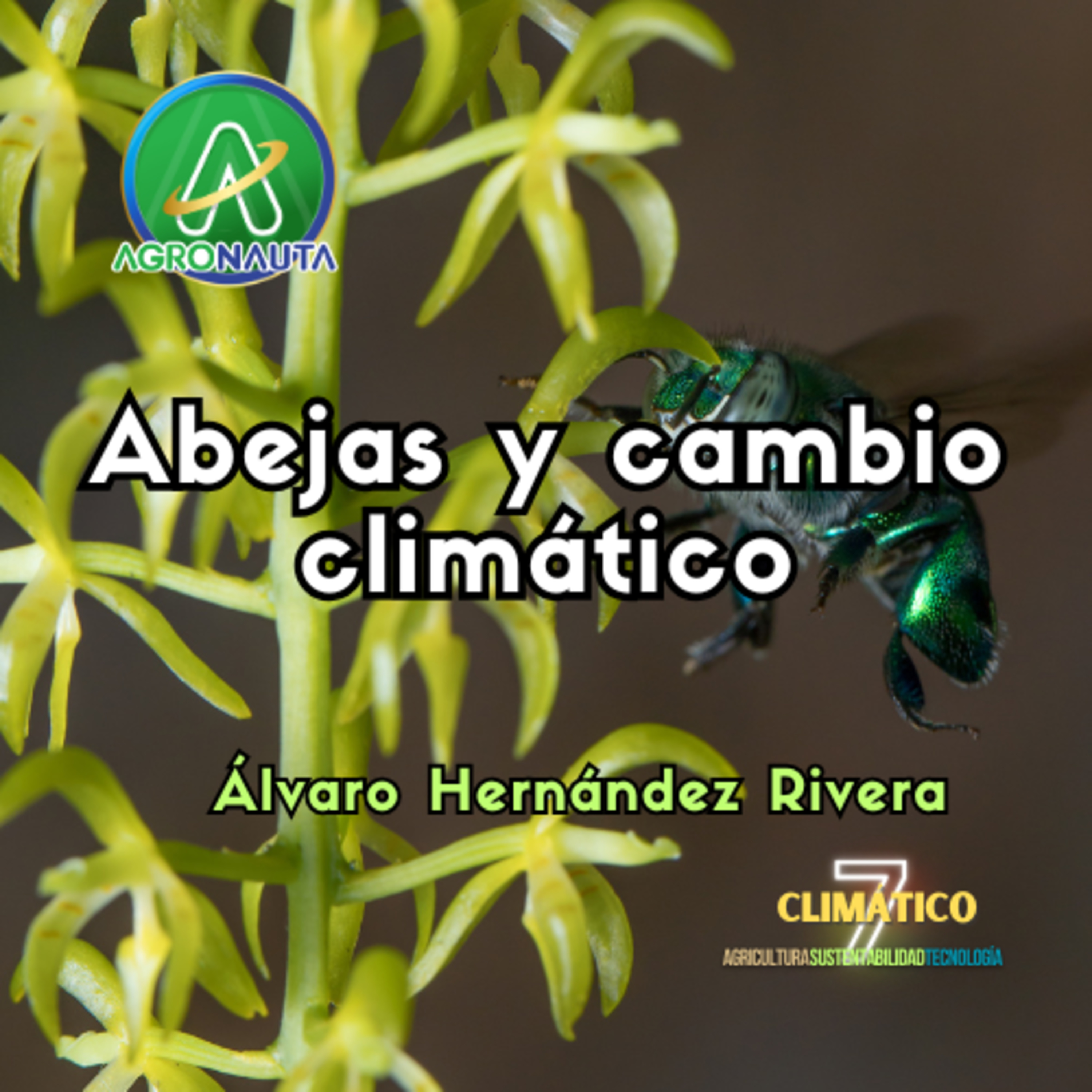 Abejas y cambio climático: una realidad que pocos quieren ver. episode artwork