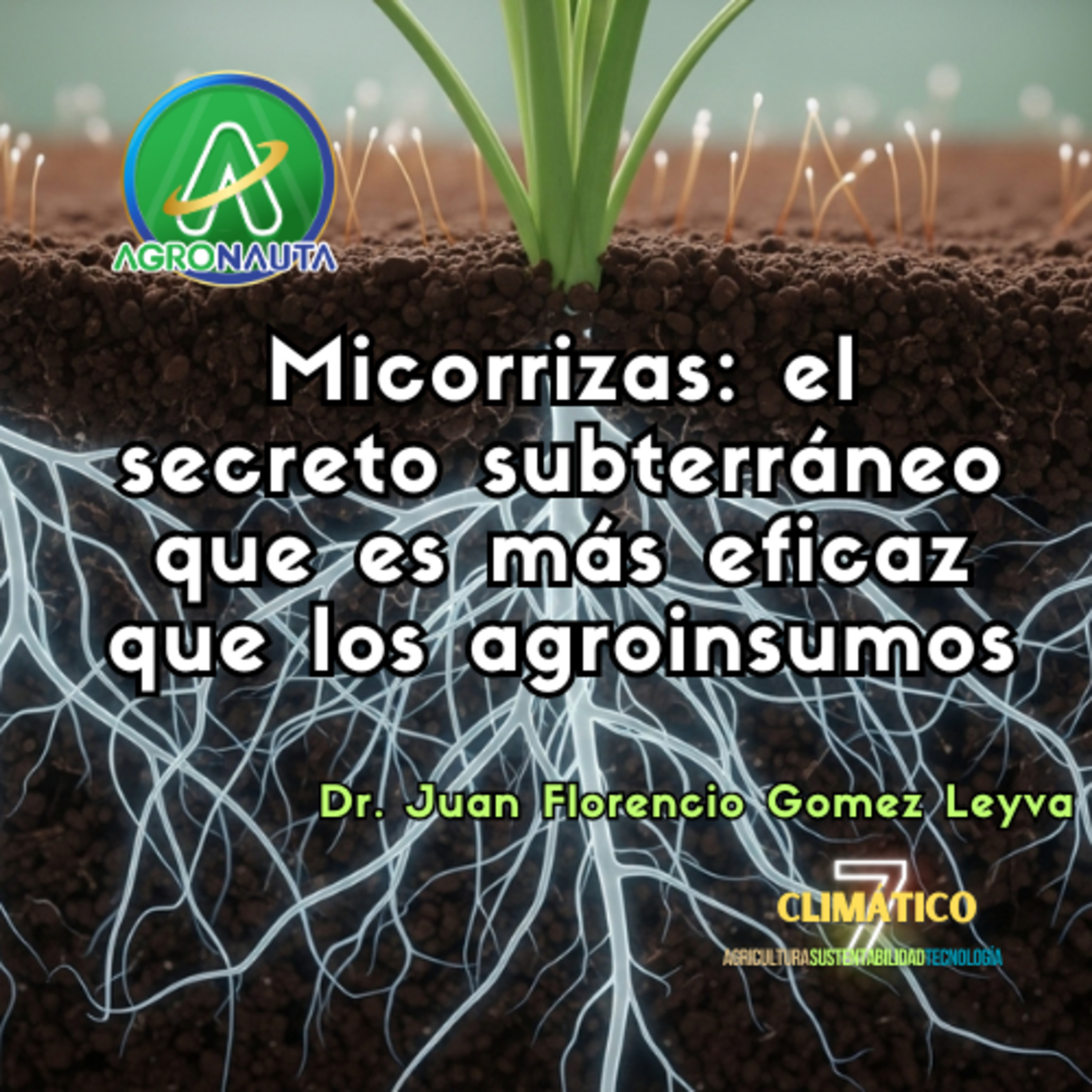 Micorrizas: el secreto subterráneo que es más eficiente que los agroinsumos episode artwork