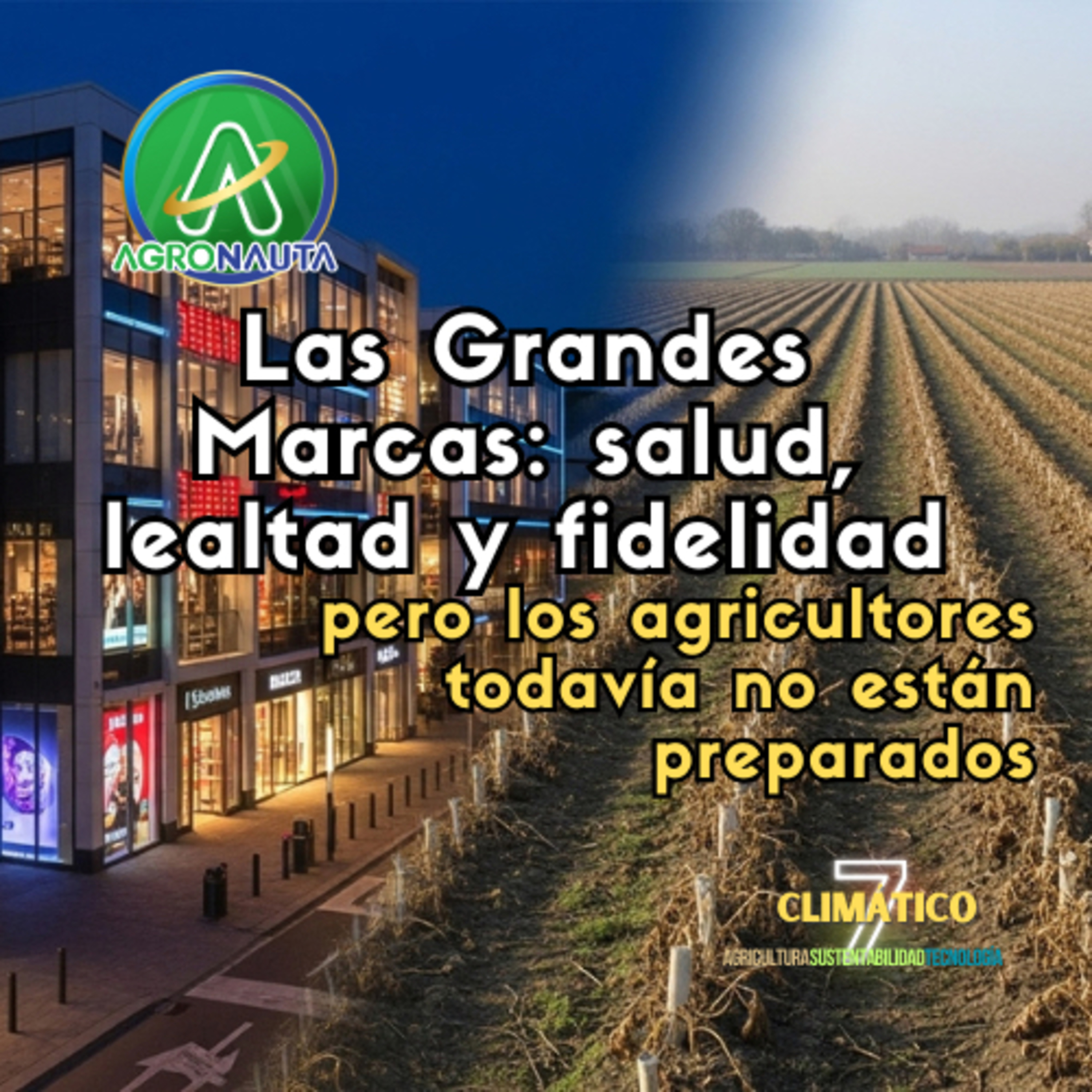 Las Grandes Marcas ya trazaron el futuro: salud, bienestar y fidelidad. El agro sin entender nada.