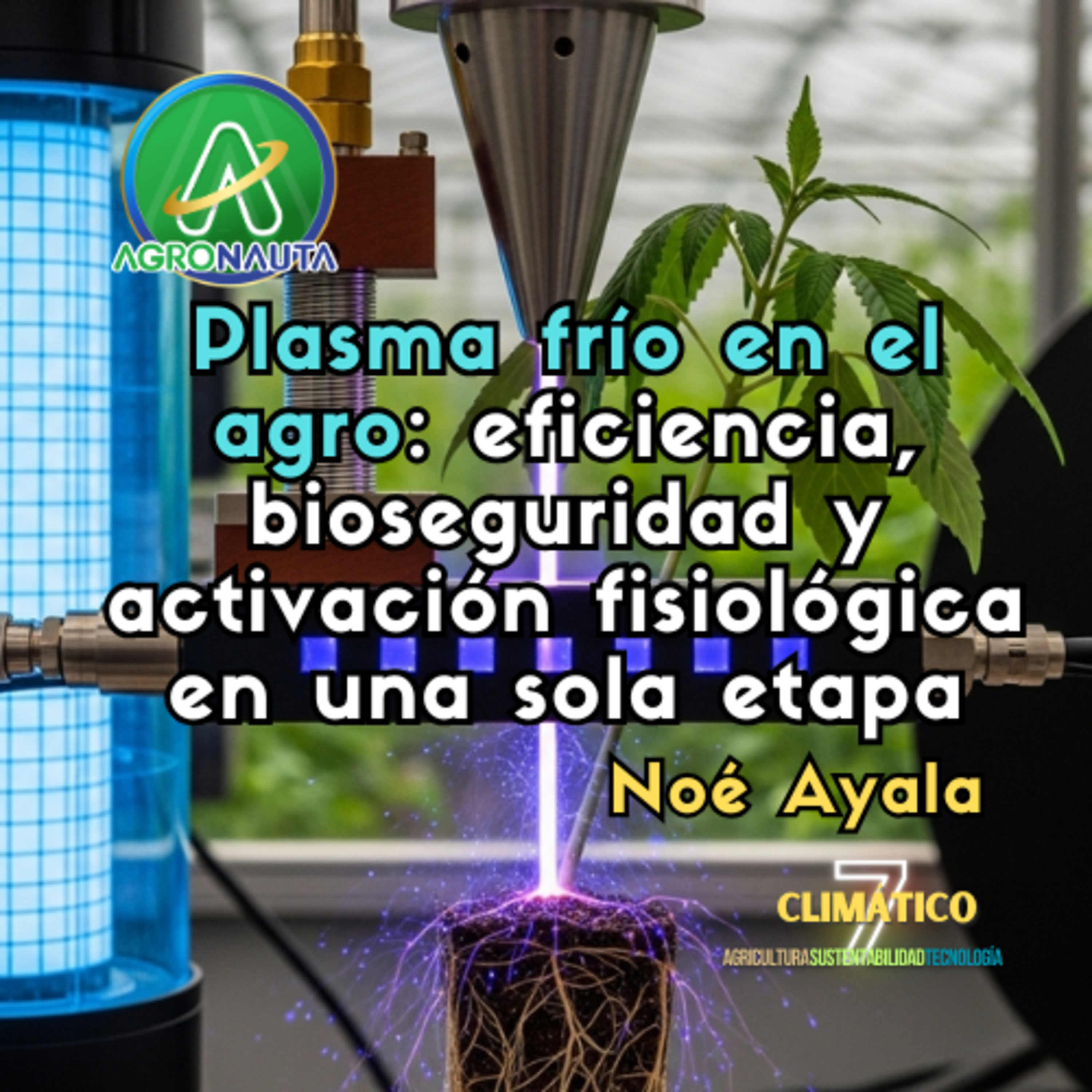 Plasma frío en el agro: eficiencia, bioseguridad y activación fisiológica en una sola etapa