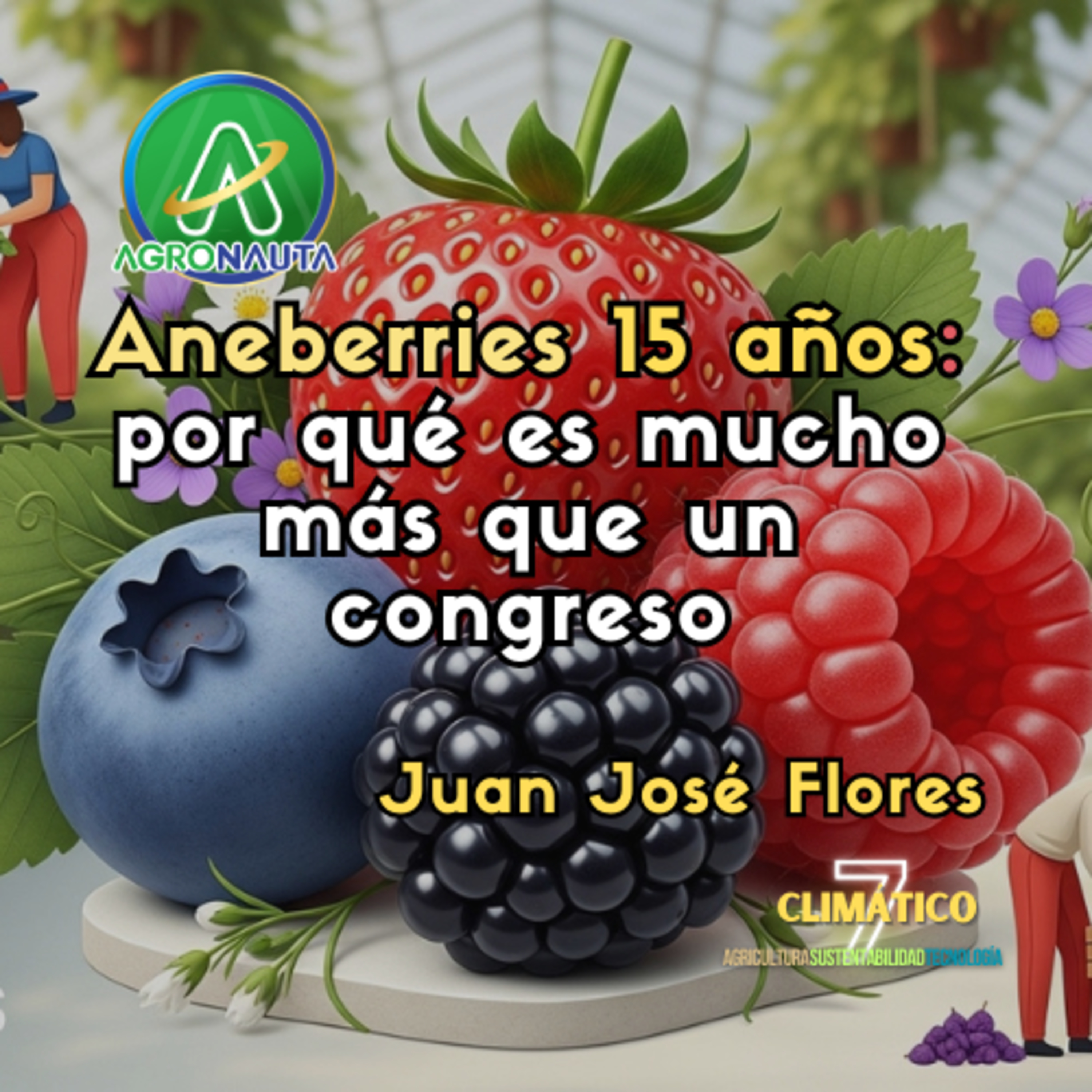 Aneberries 15 años: por qué es mucho más que un congreso