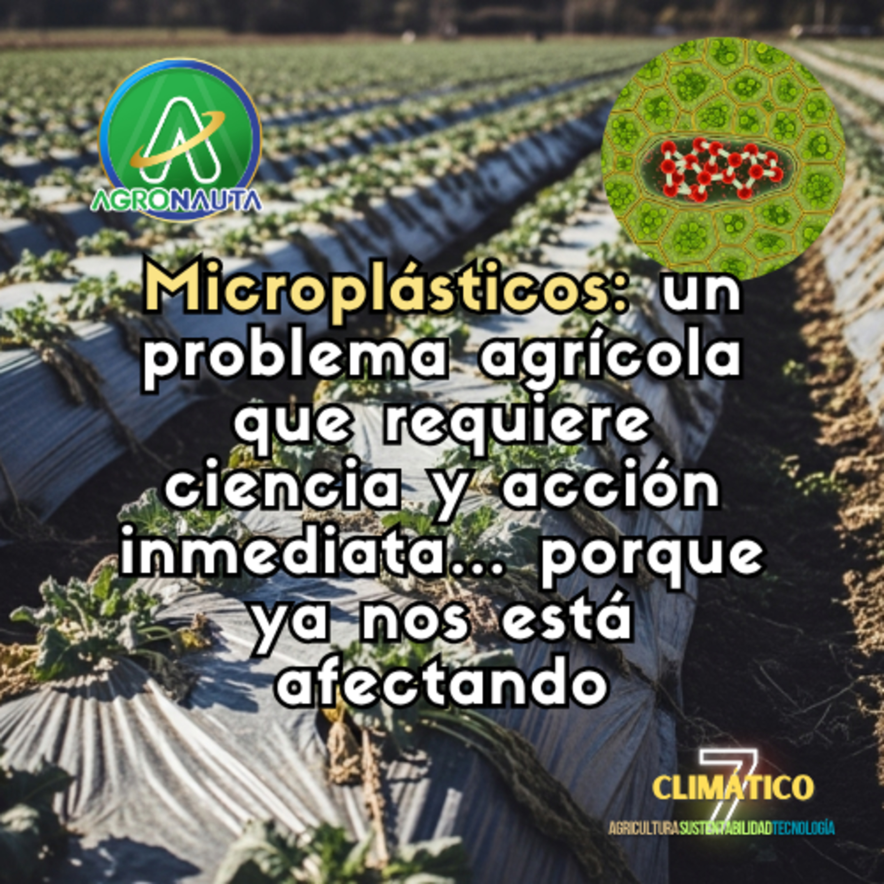 Microplásticos: un problema agrícola que requiere ciencia y acción inmediata… porque ya nos está afectando episode artwork