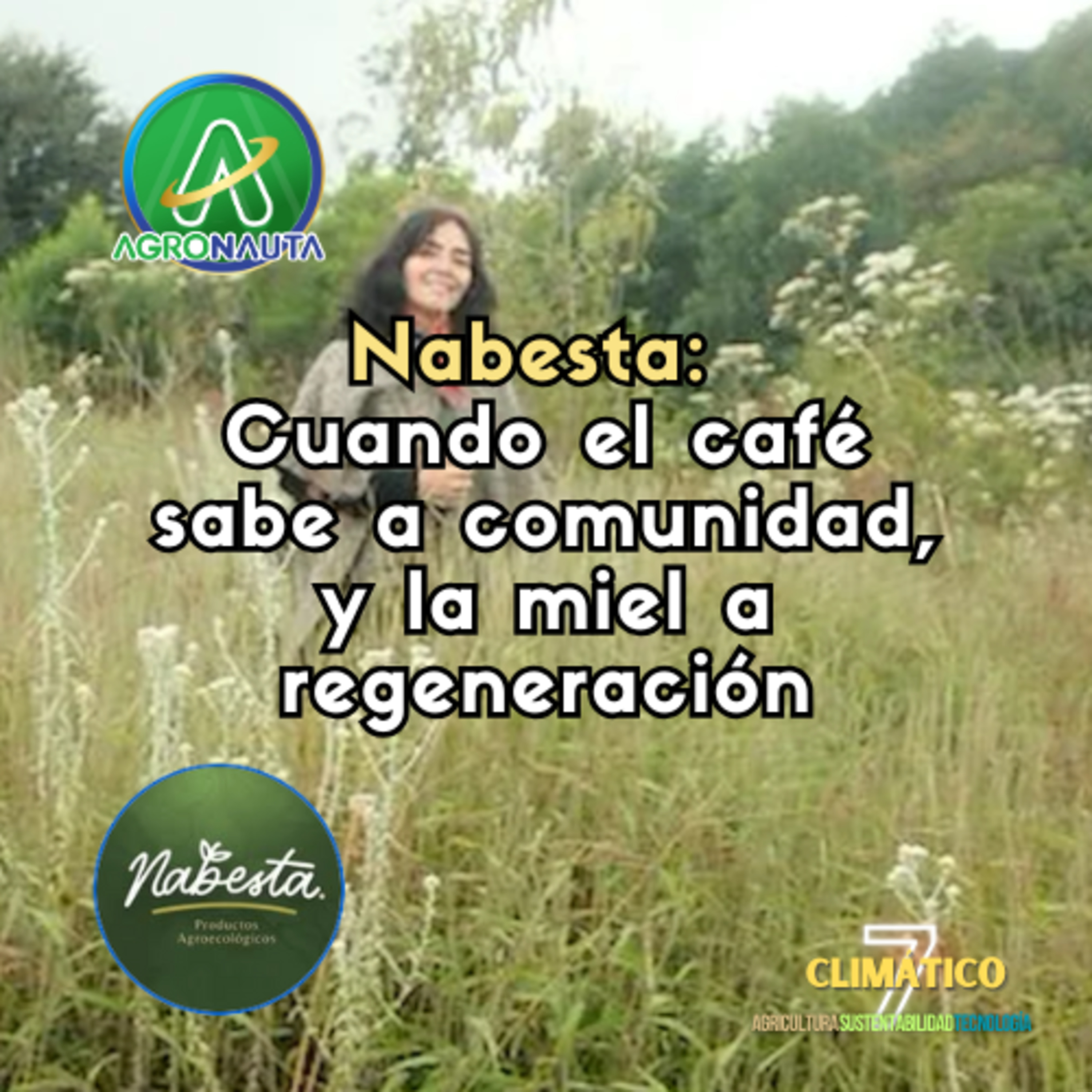 Nabesta: cuando el café sabe a comunidad, y la miel a regeneración episode artwork
