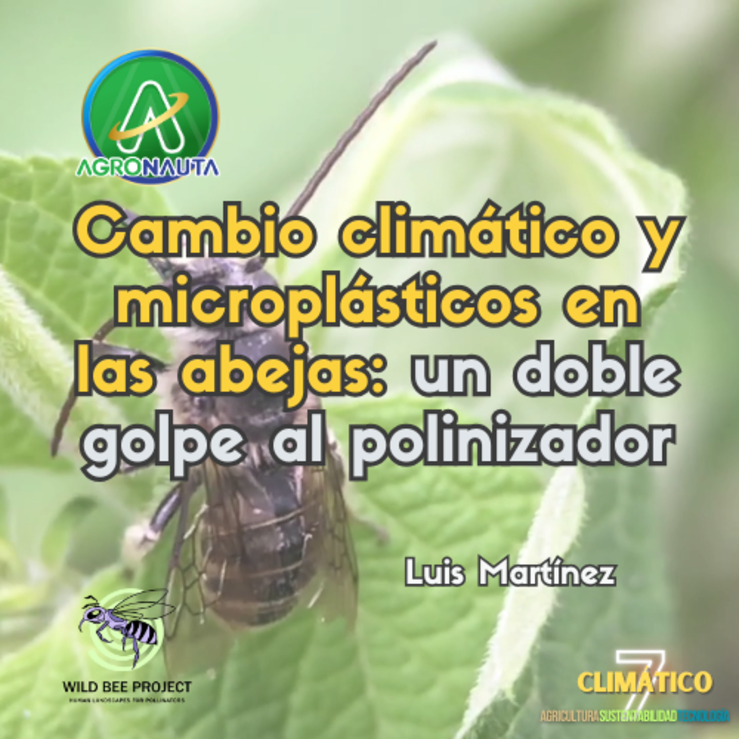 Cambio climático y microplásticos en las abejas: un doble golpe al polinizador episode artwork