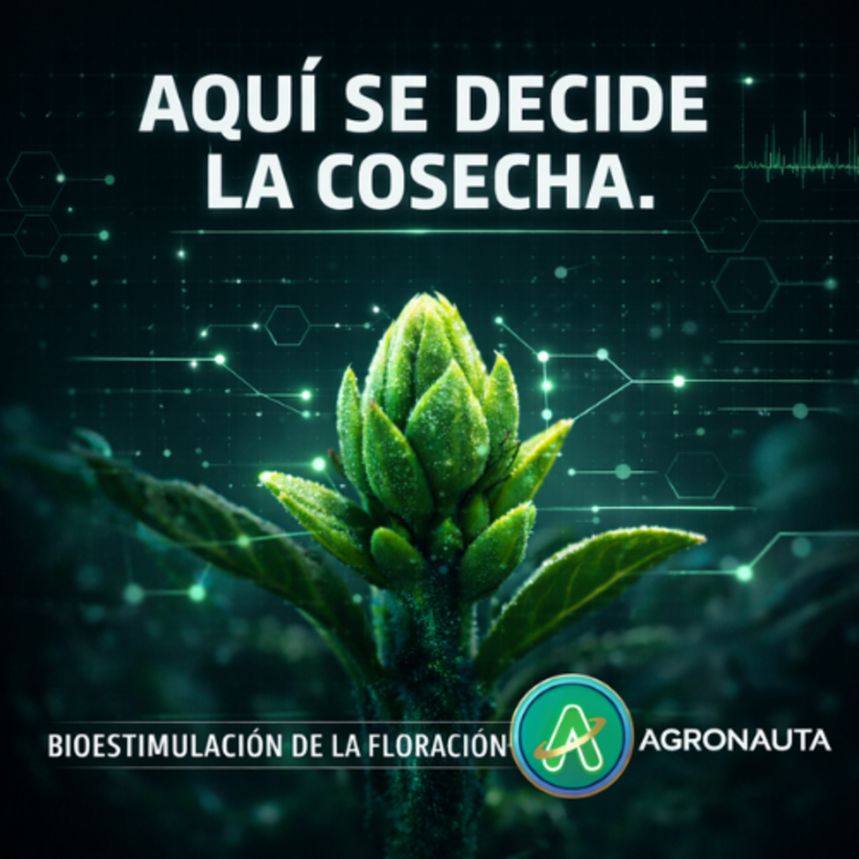  Bioestimulación de la floración: Aquí se decide la cosecha episode artwork