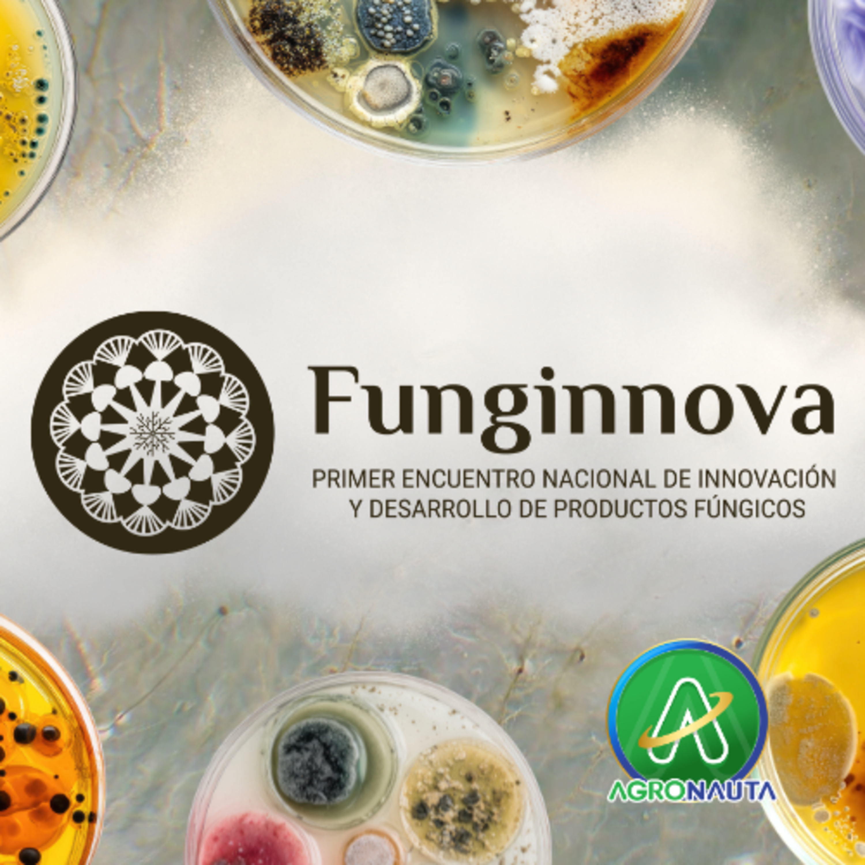 Funginnova: el evento que acelera la innovación fúngica en México episode artwork