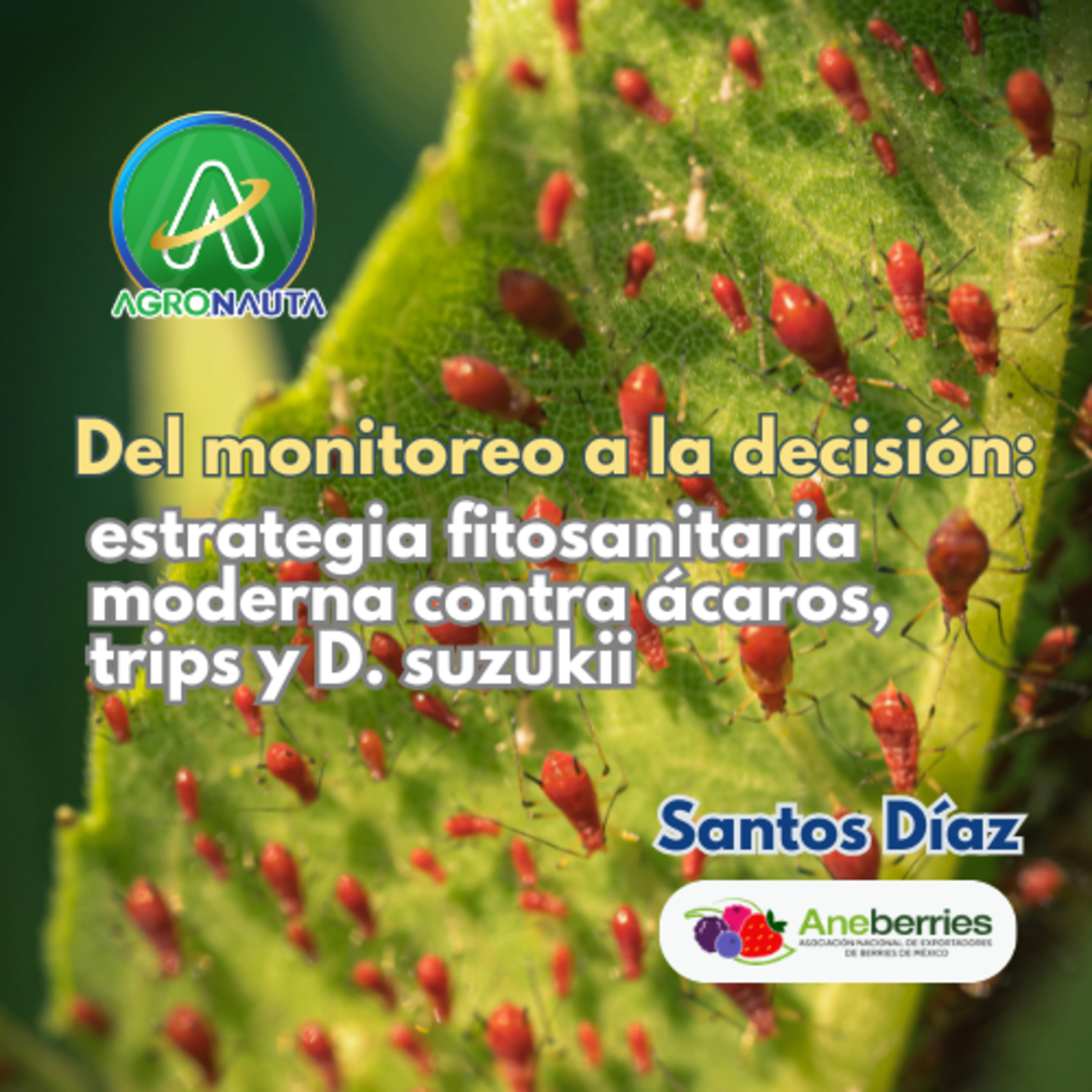 Agronauta
