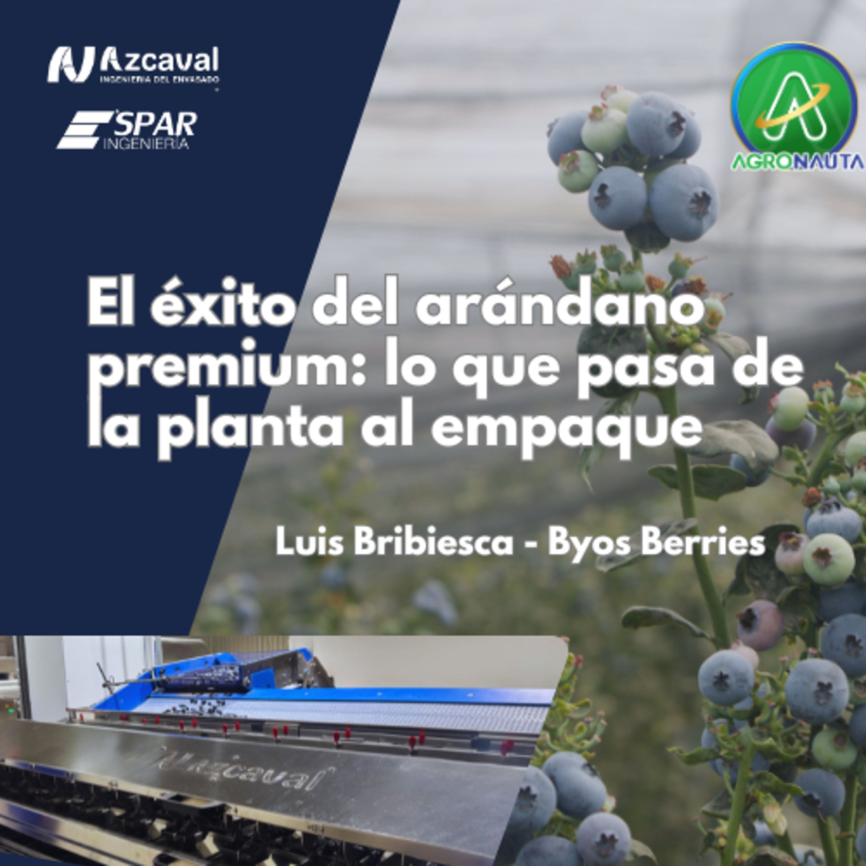 El éxito del arándano premium: decisiones de la planta al empaque. - Luis Bribiesca Byos Berrys
